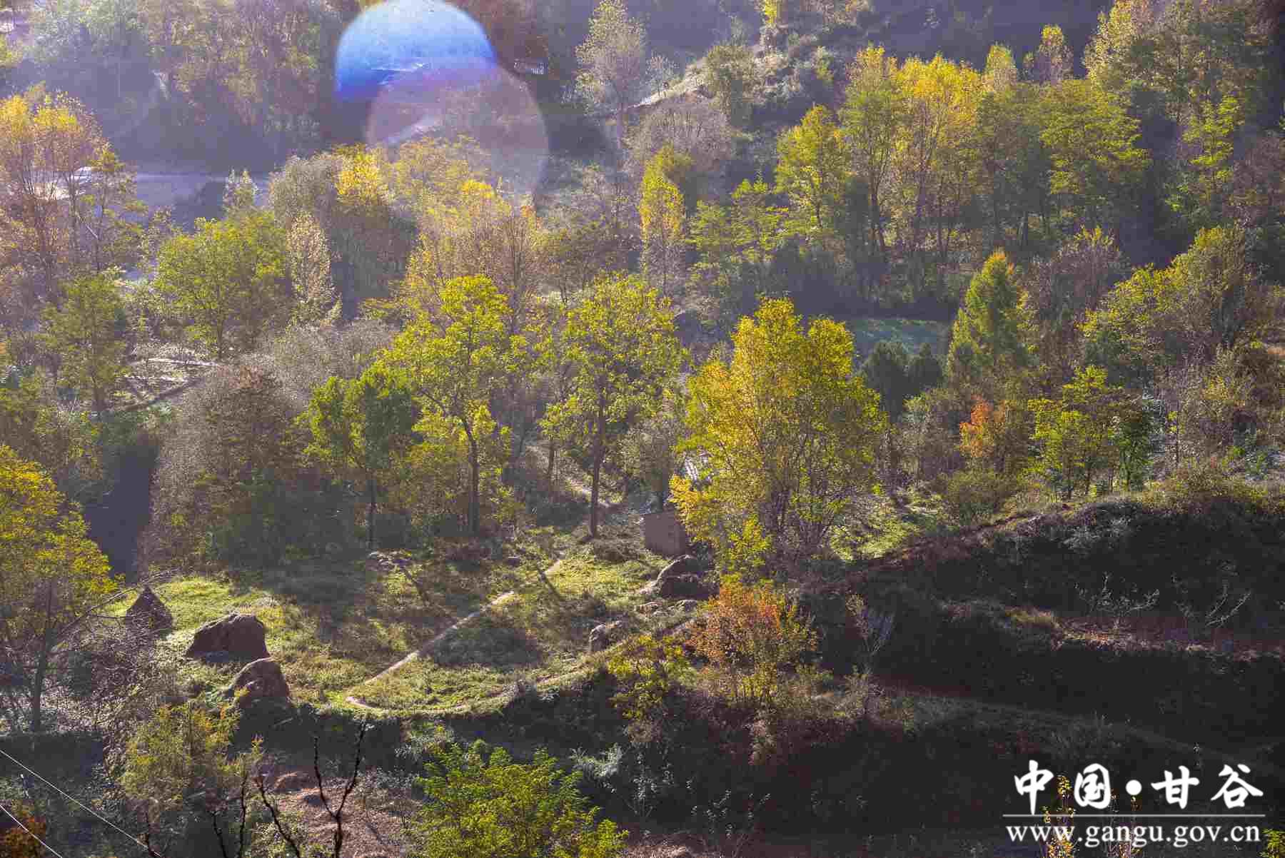 巩建平 (4) 巩建平 (4)