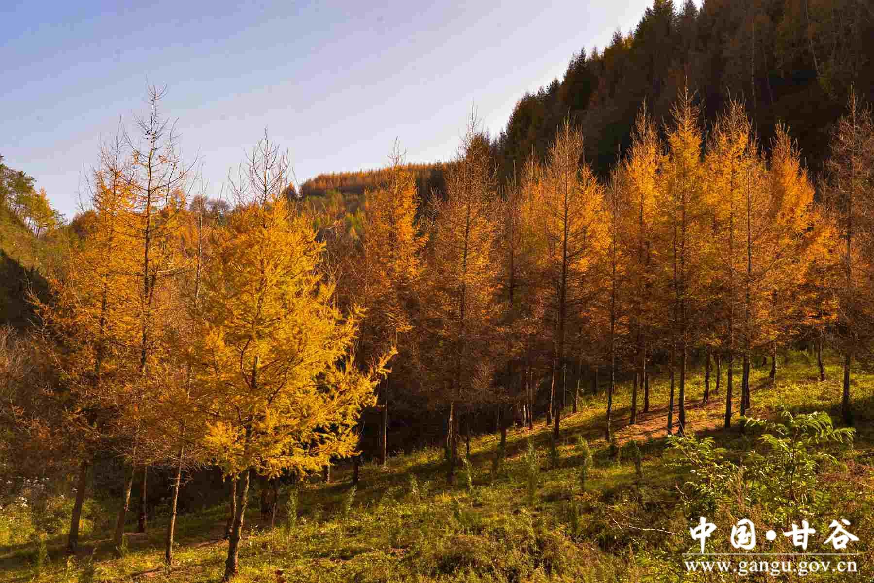 巩建平 (9) 巩建平 (9)