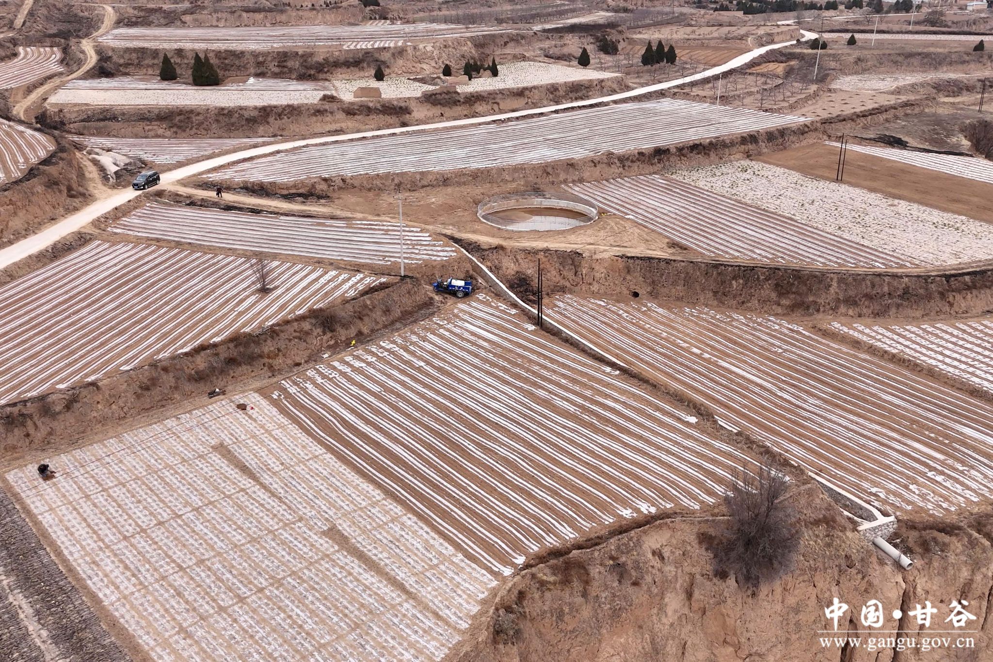 1741318662179076403.jpg 1741318662179076403.jpg