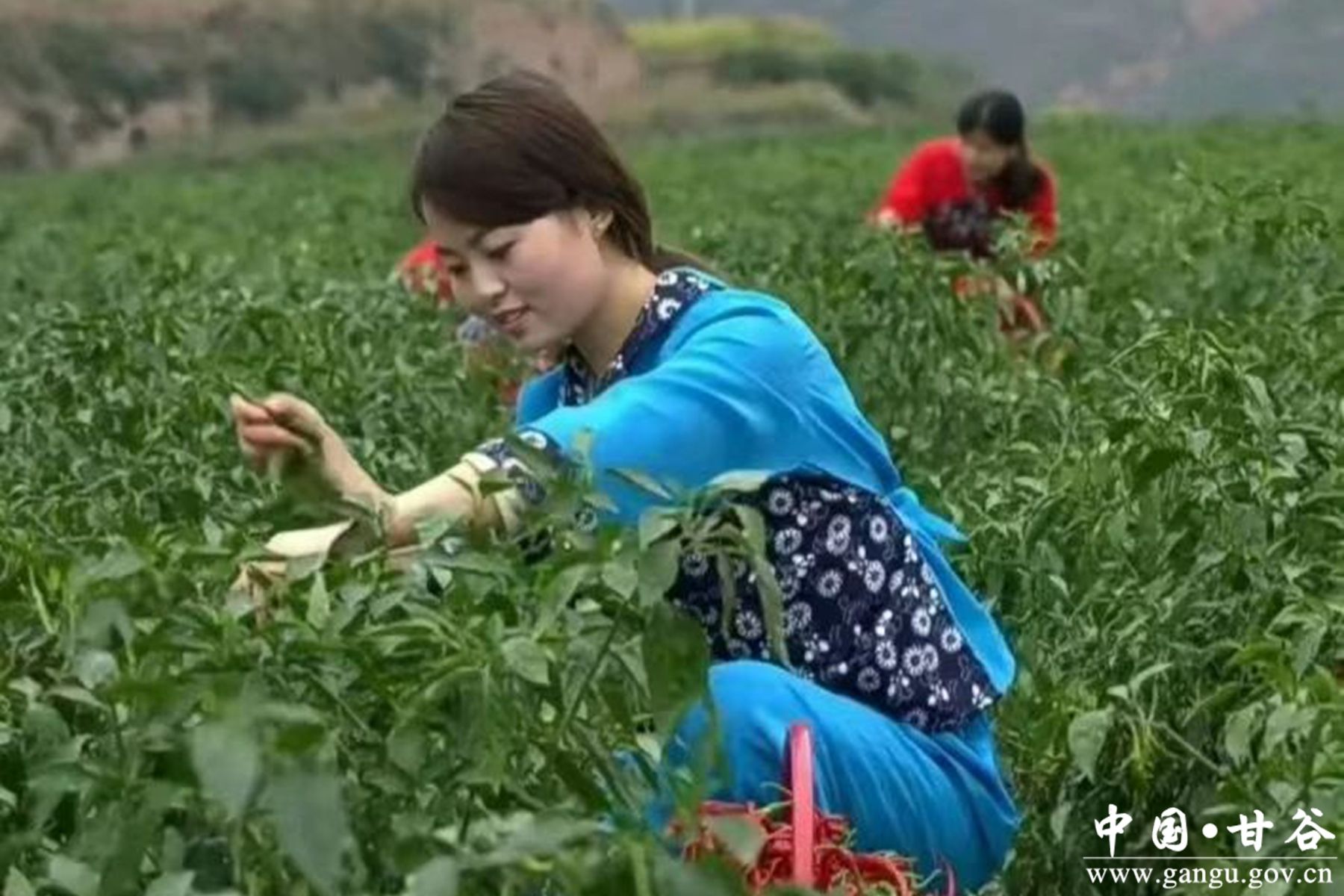 481-2501201KP5J5 481-2501201KP5J5