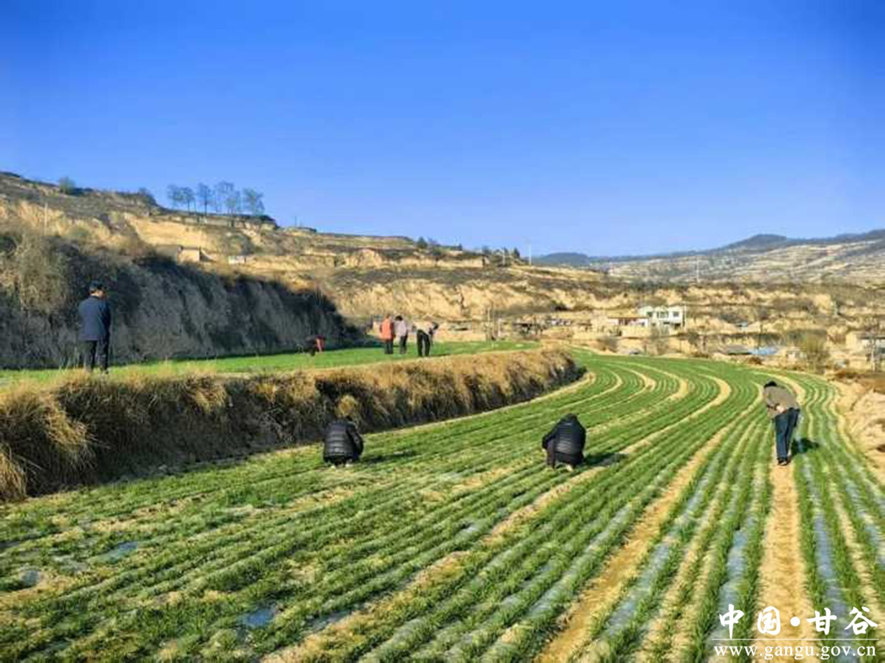 481-2501201K62M56 481-2501201K62M56