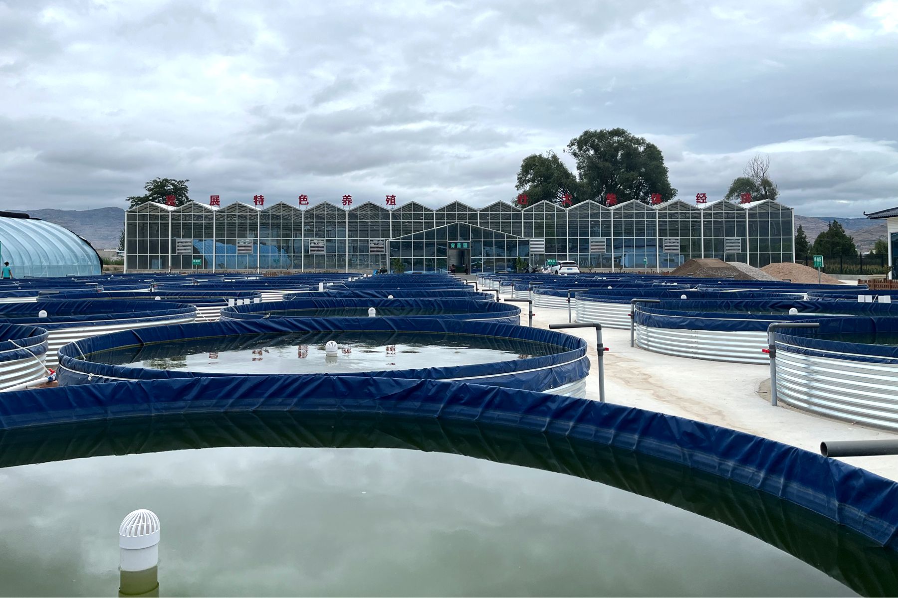 1753428534405000890 1753428534405000890