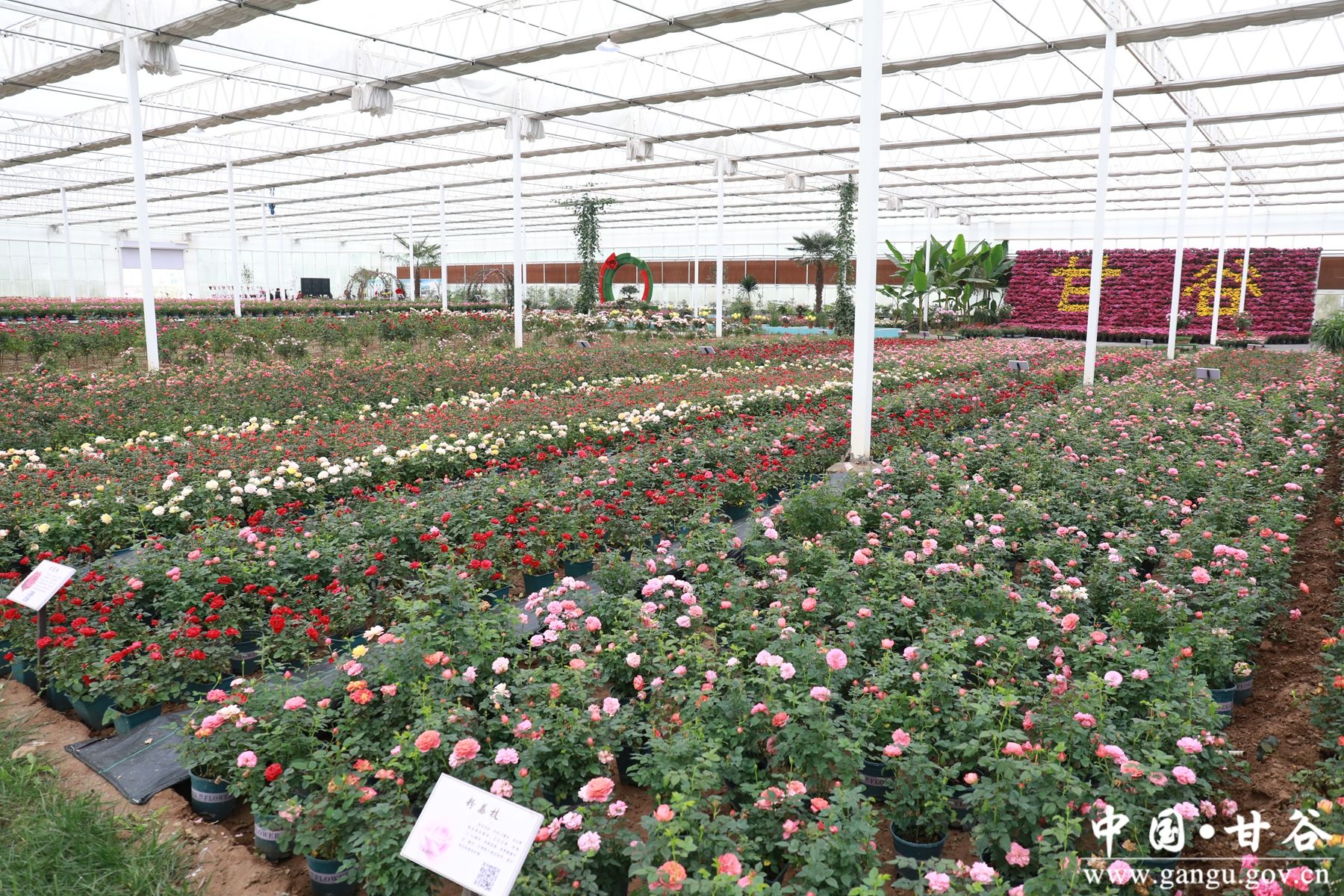 1751331670083079089 1751331670083079089