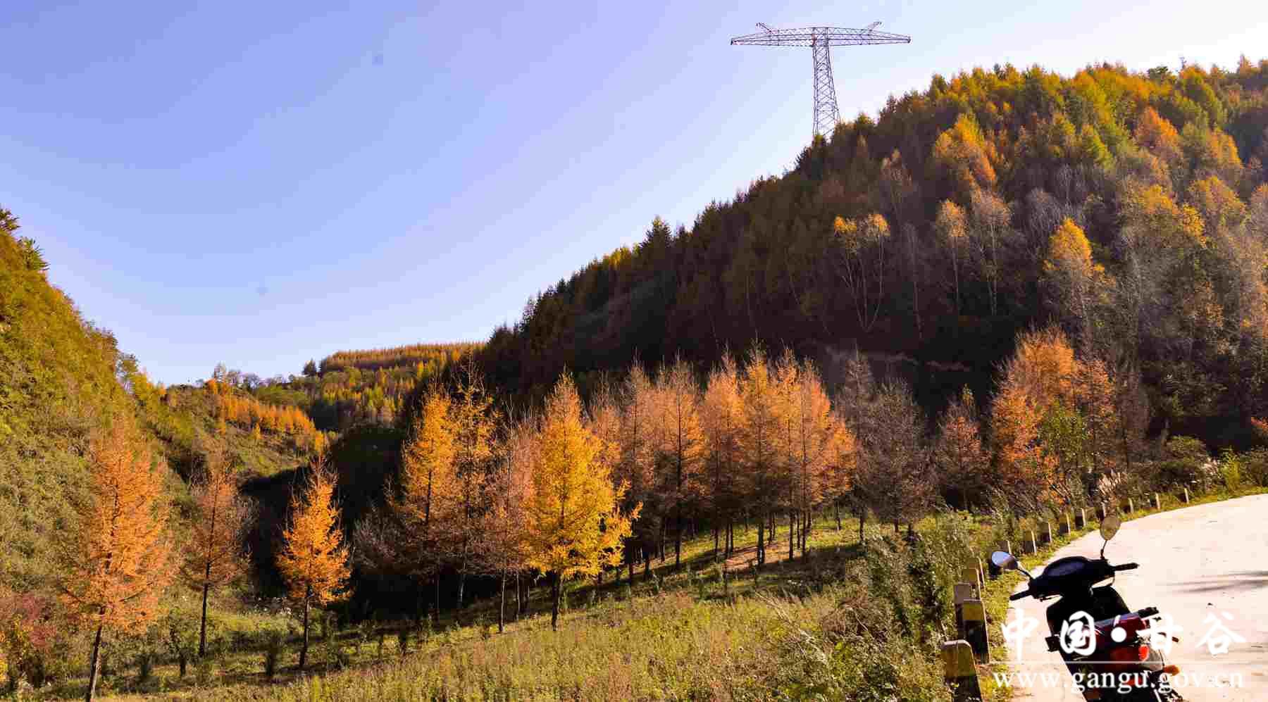 巩建平 (10) 巩建平 (10)