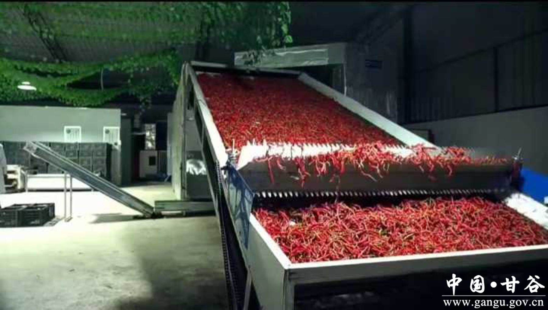 481-2501201K545254 481-2501201K545254