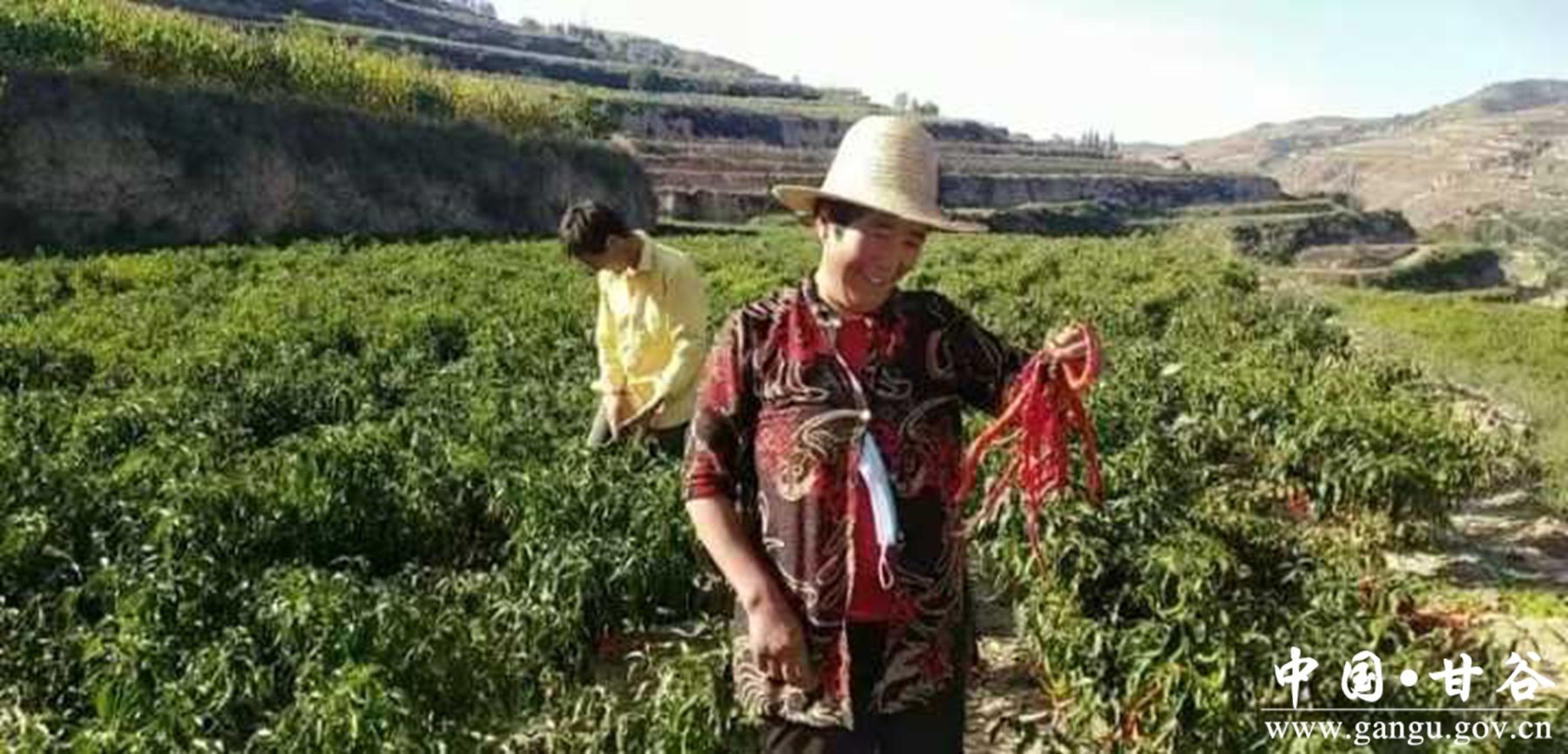 481-2501201KF0K6 481-2501201KF0K6