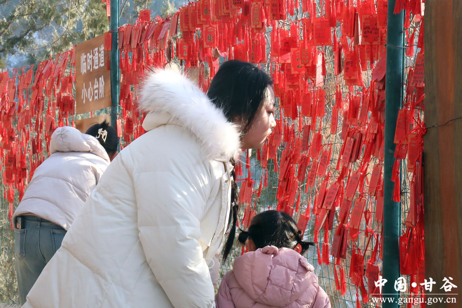 IMG_6358_副本 IMG_6358_副本