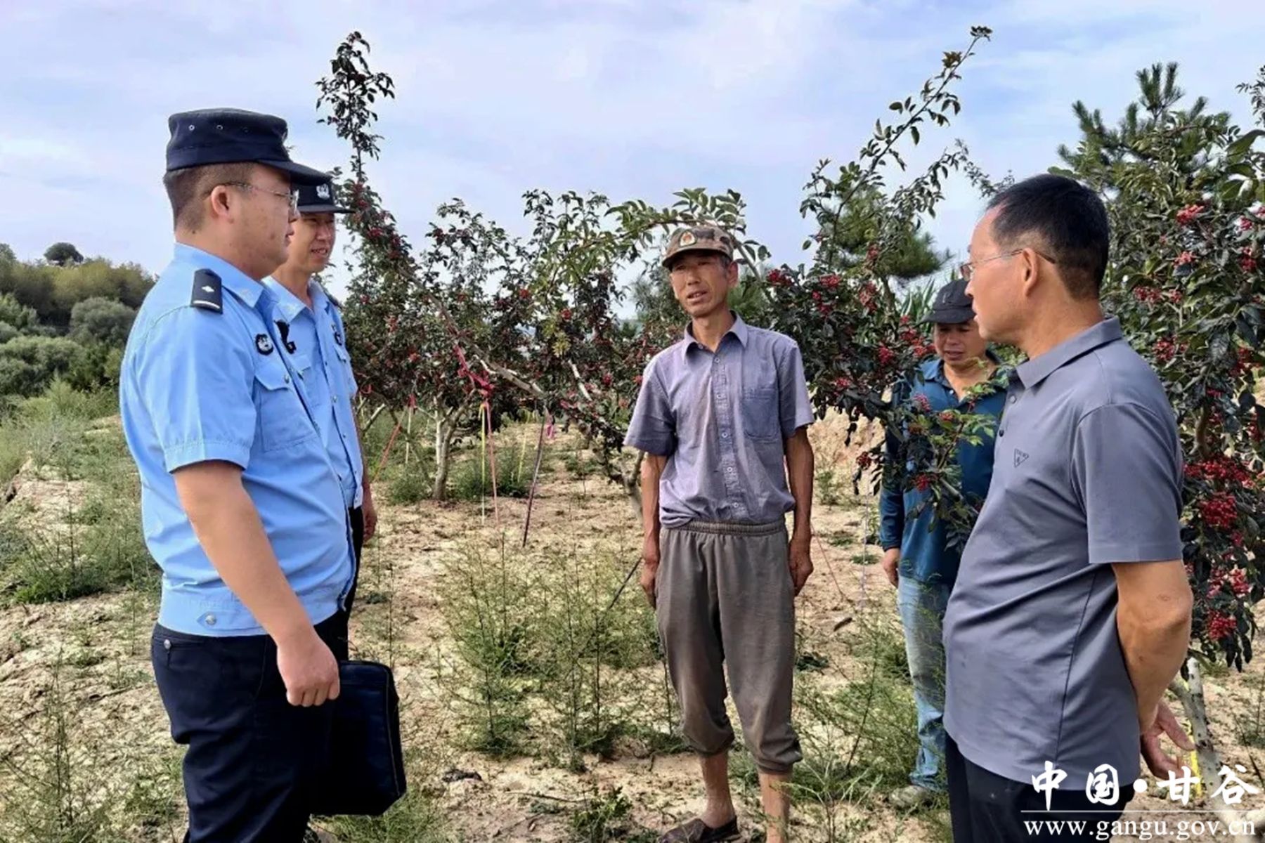 640 (4)_副本 640 (4)_副本