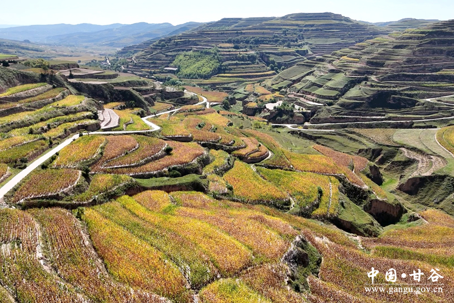 ed5e48c02d294966a2429e224e588743 ed5e48c02d294966a2429e224e588743