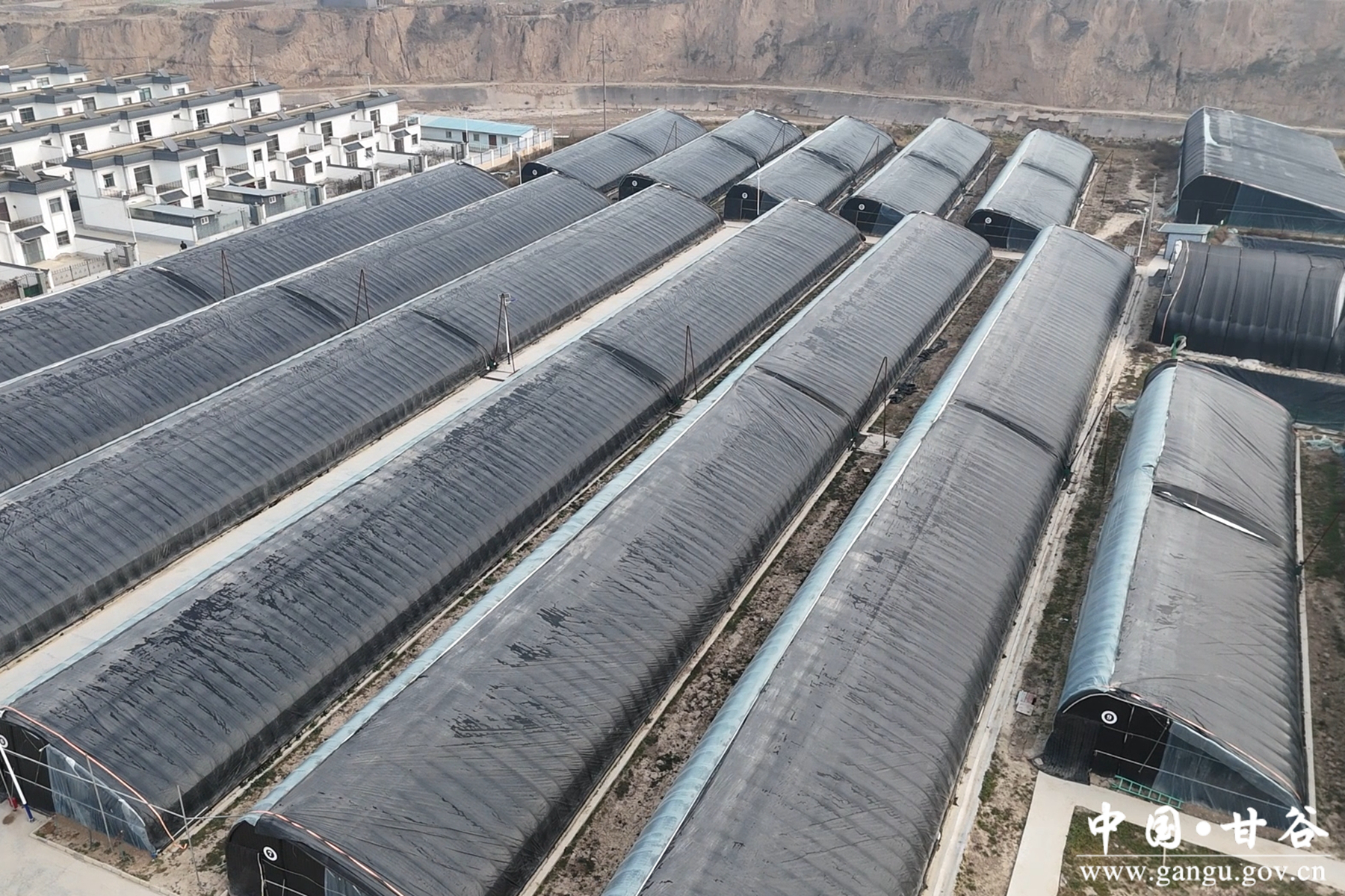 微信图片_20251212112903_50_148 微信图片_20251212112903_50_148