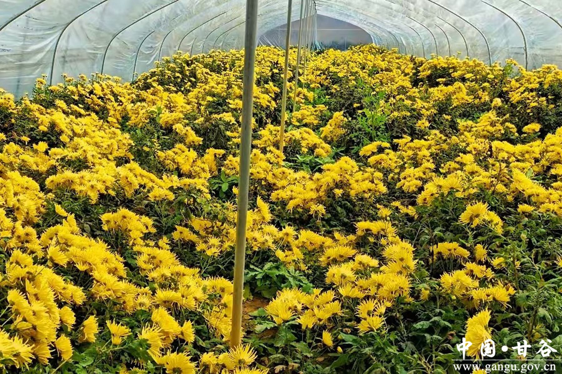 1730423037296081680 1730423037296081680