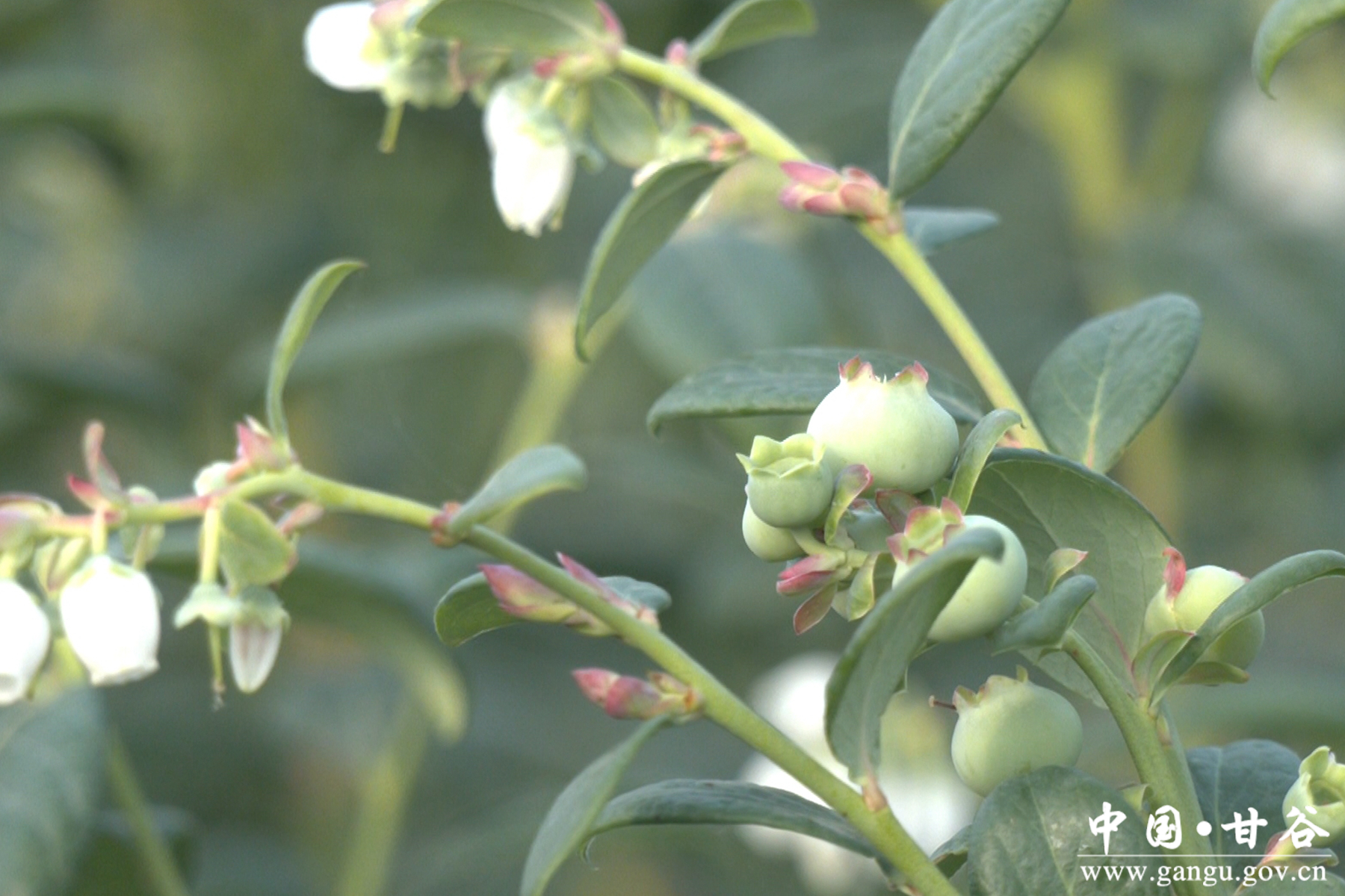 微信图片_20251212112911_55_148 微信图片_20251212112911_55_148