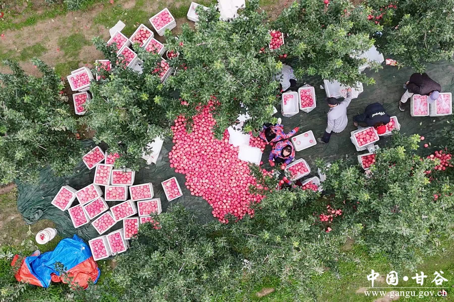 微信图片_20251205163509_140_10 微信图片_20251205163509_140_10