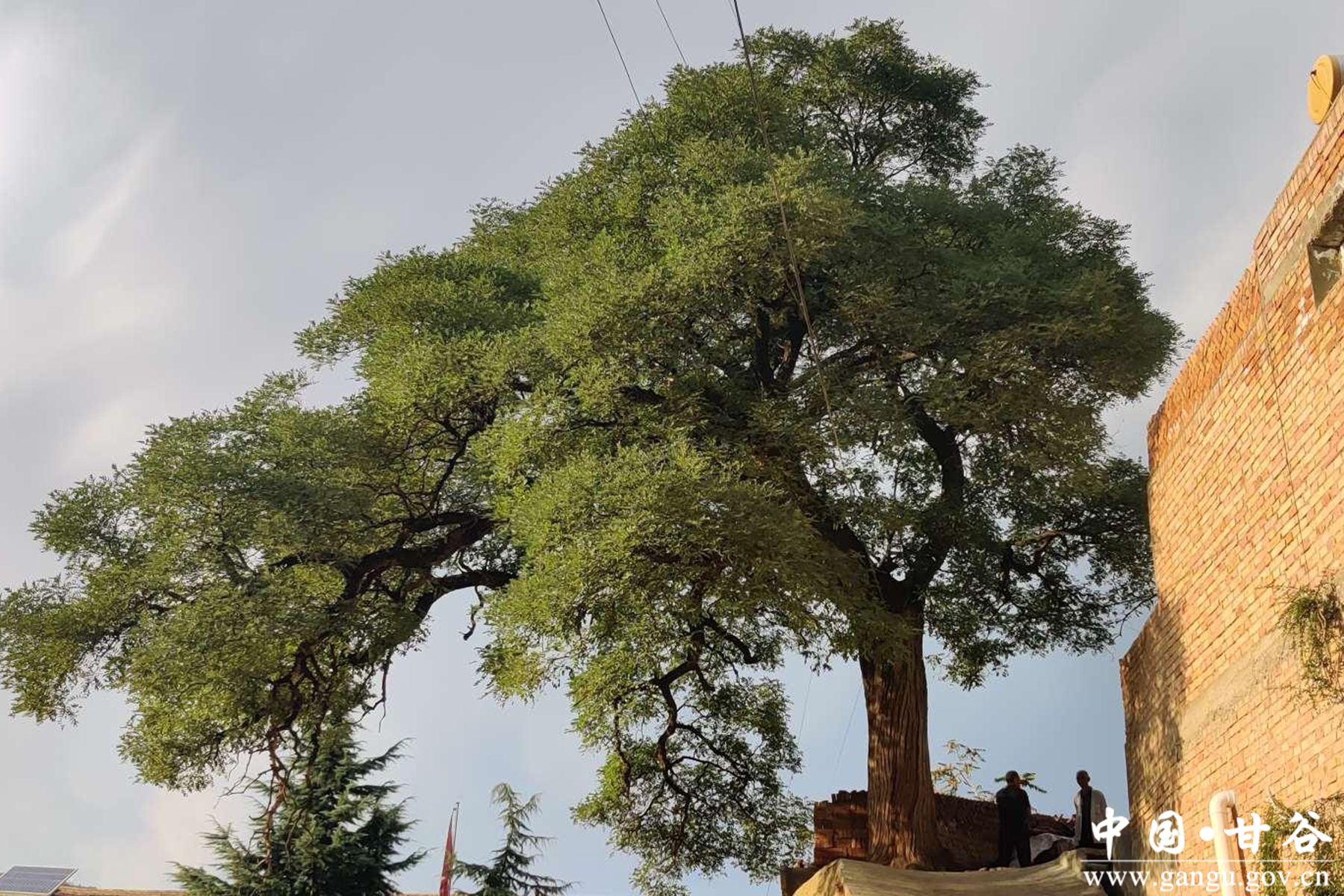 微信图片_20250630144544 微信图片_20250630144544