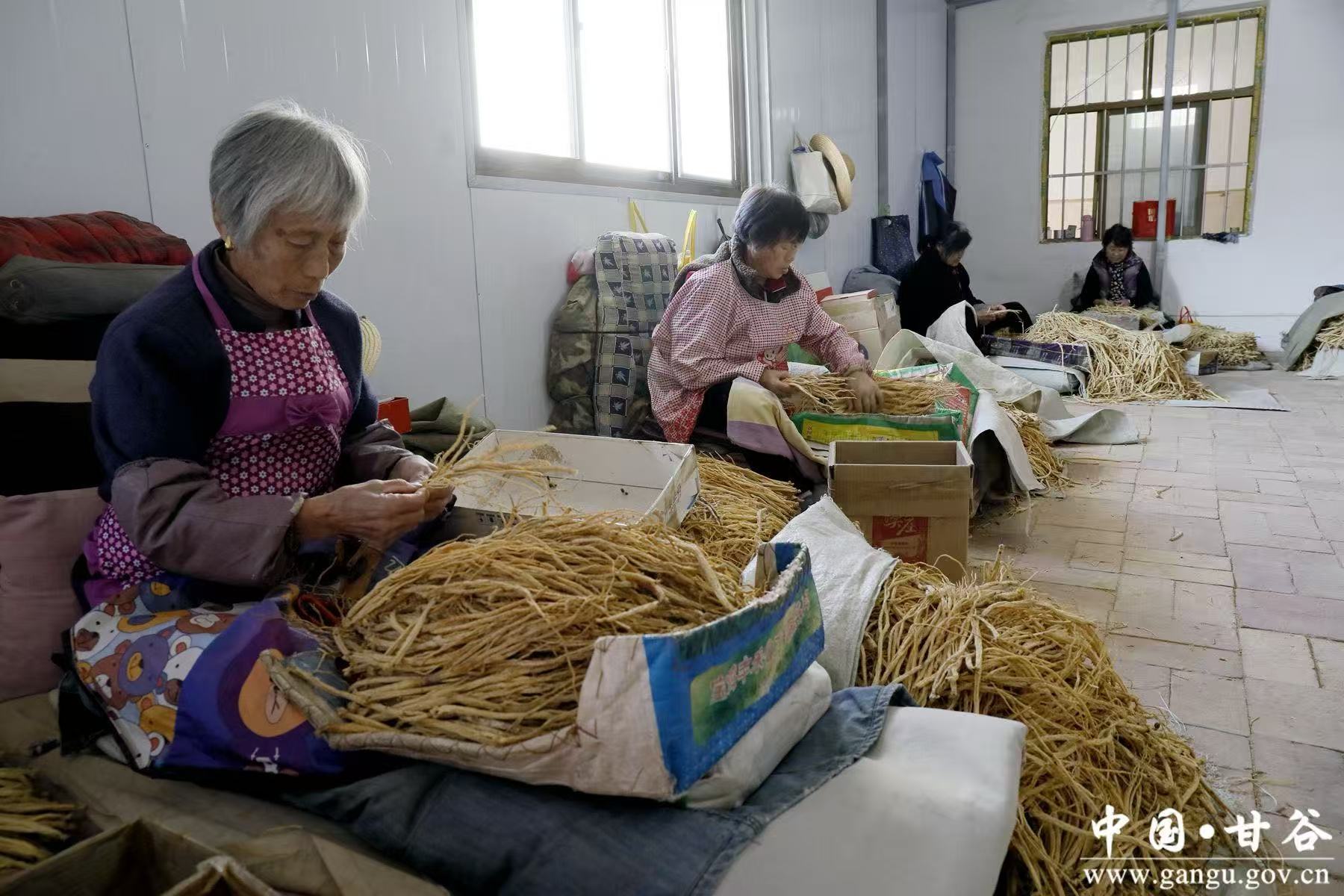 微信图片_20251205163513_144_10 微信图片_20251205163513_144_10