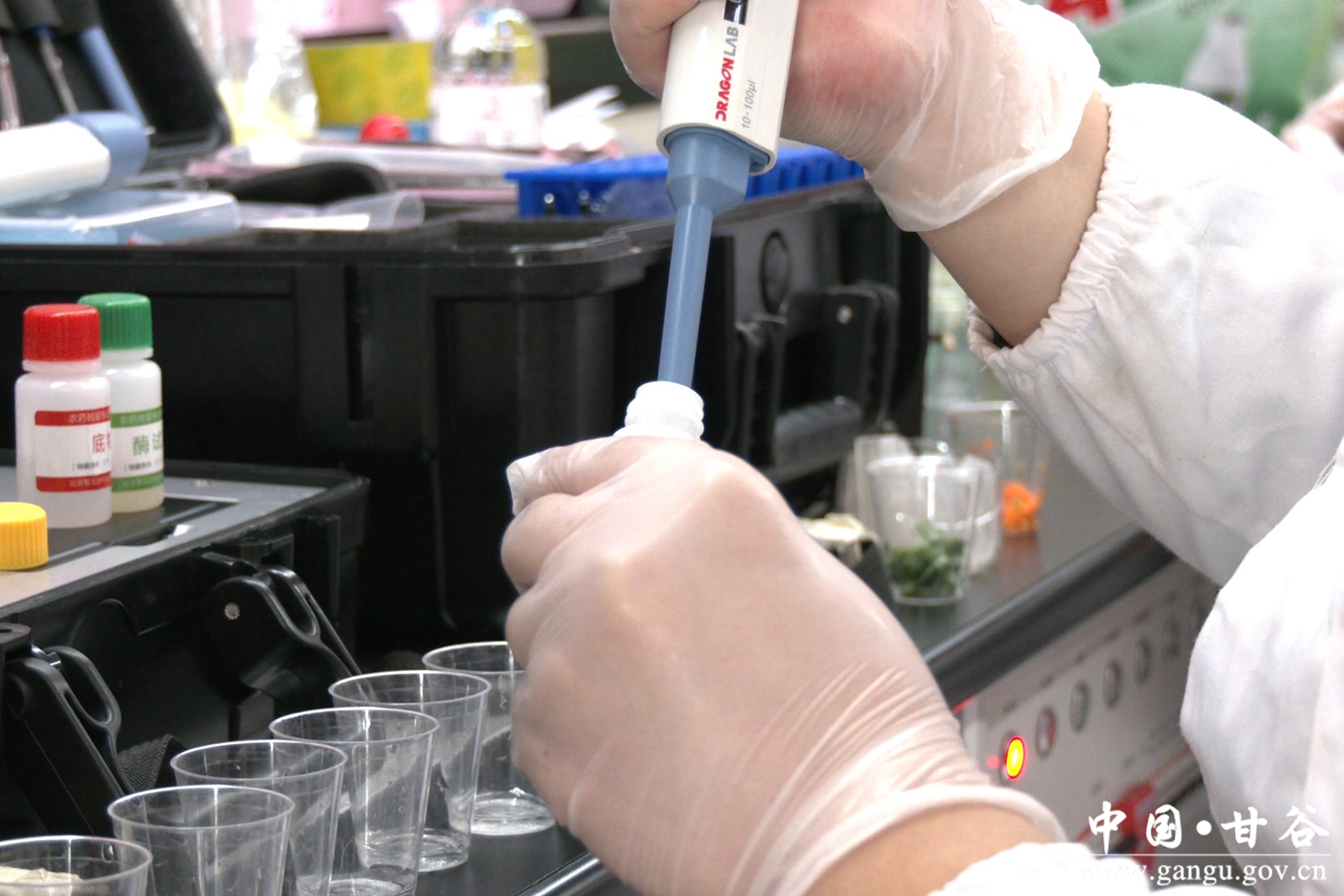 微信图片_20250313115410 微信图片_20250313115410