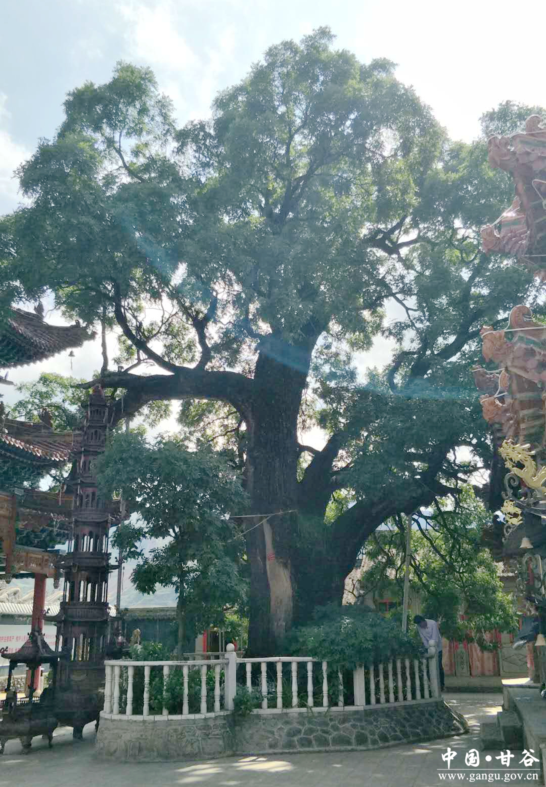 微信图片_20250701085422 微信图片_20250701085422