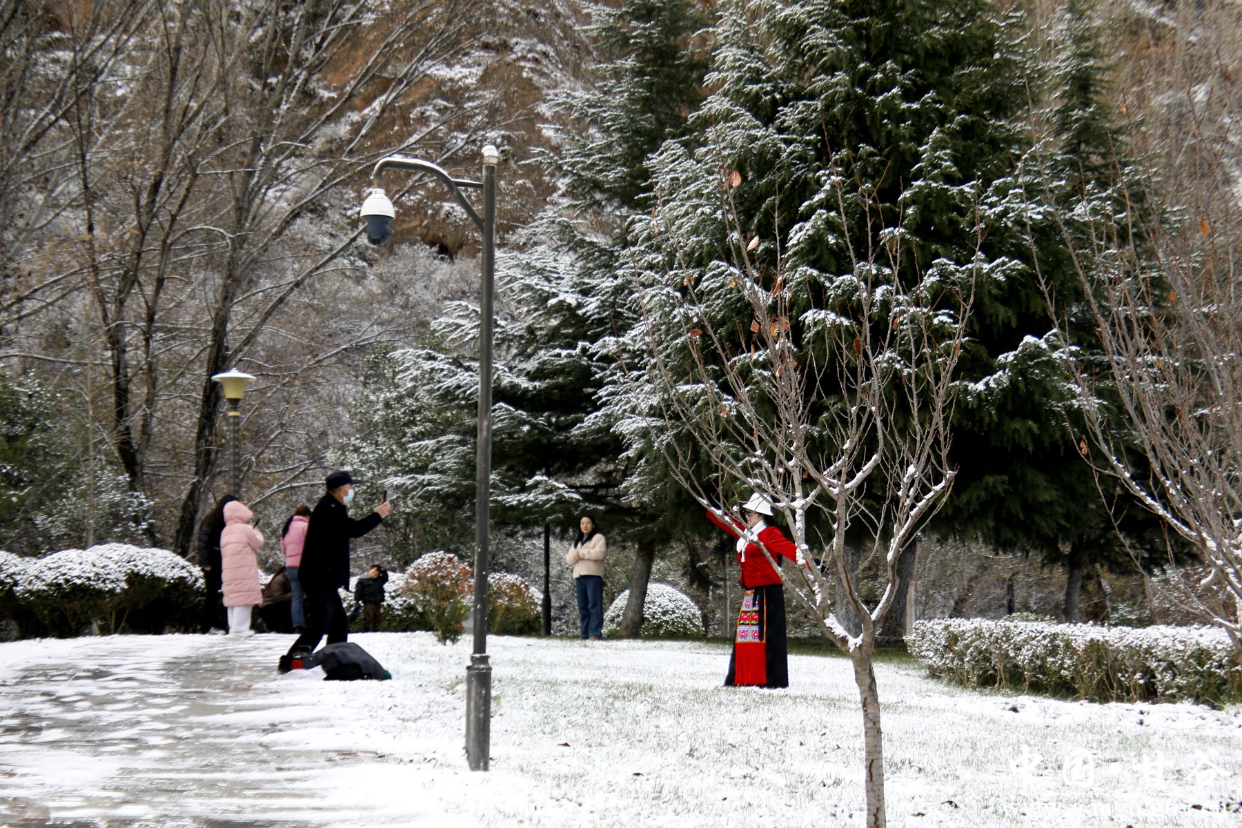 _MG_0589_副本 _MG_0589_副本