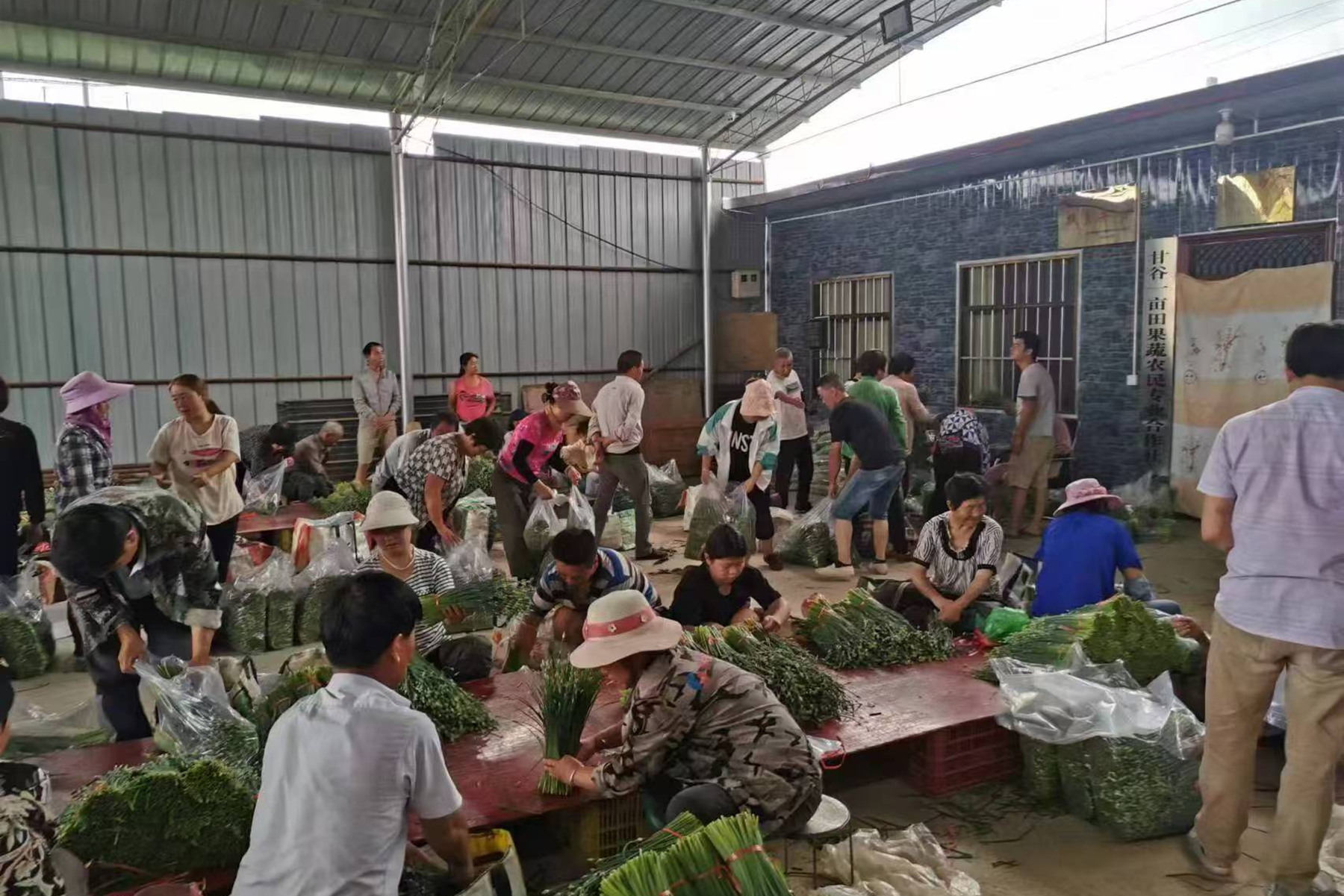 de250c92e53741749eba9d494fb1a496 de250c92e53741749eba9d494fb1a496