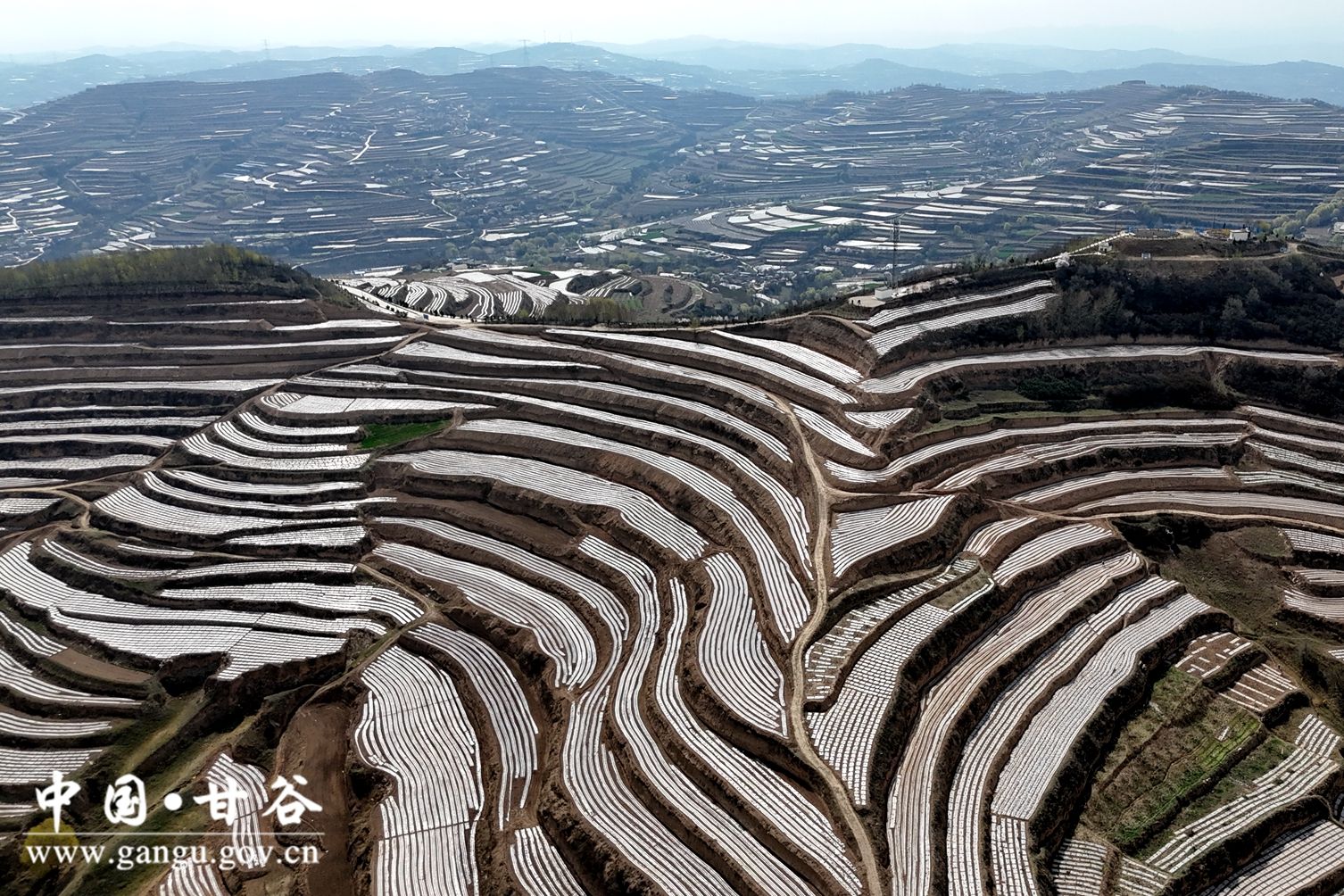 DJI_20240411102129_0096_D DJI_20240411102129_0096_D