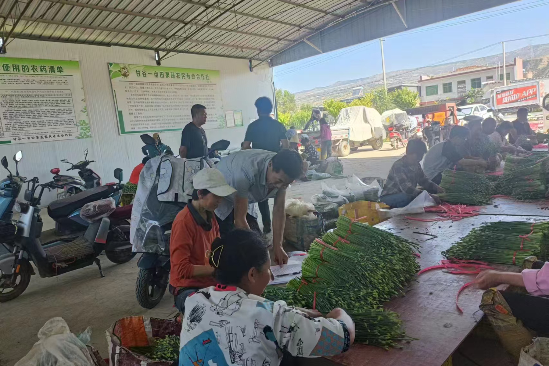 b7287945dcb1409e900c2819ee8b9330 b7287945dcb1409e900c2819ee8b9330