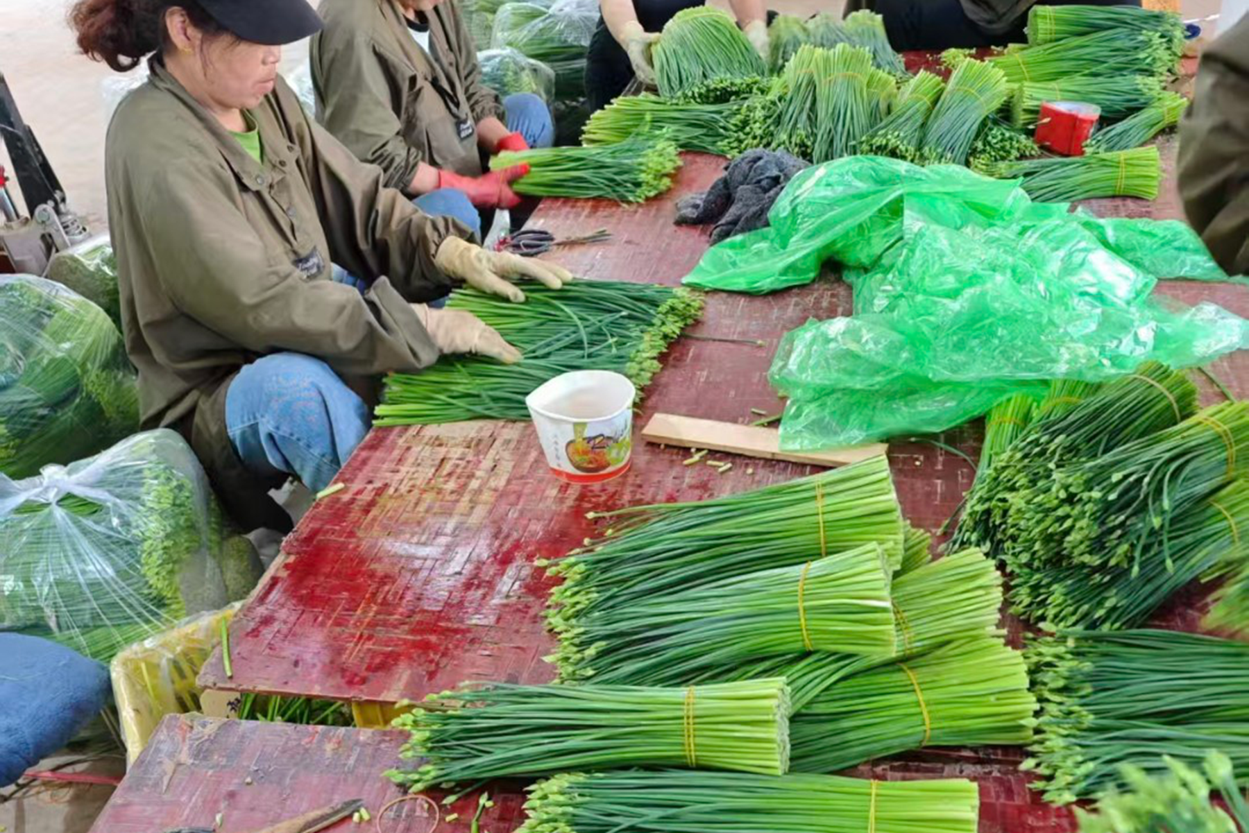 e92b4a9e65ae4a6b9410a9695ead61cc e92b4a9e65ae4a6b9410a9695ead61cc