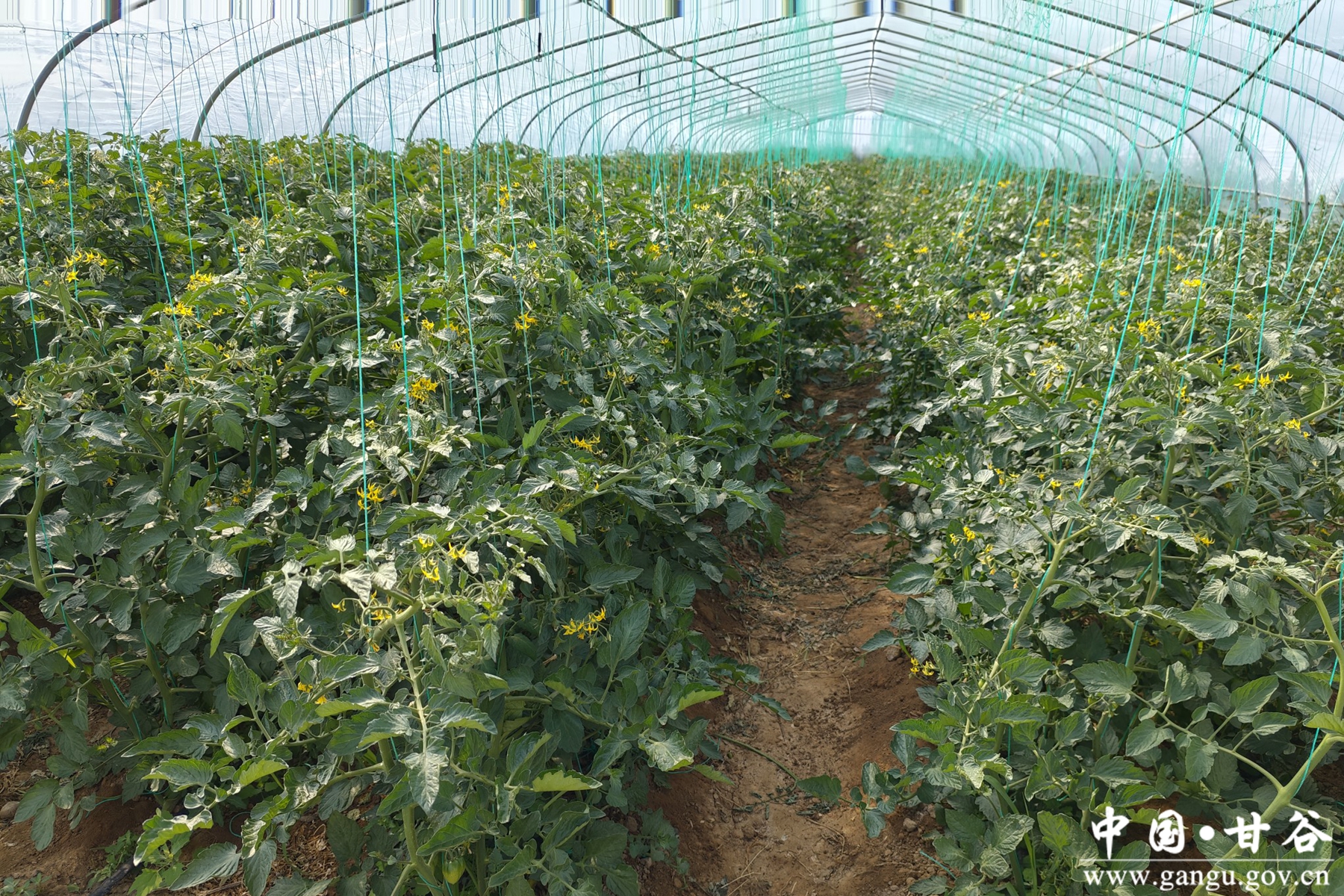 bbde2466b7784e78963e64b1685fe729 bbde2466b7784e78963e64b1685fe729