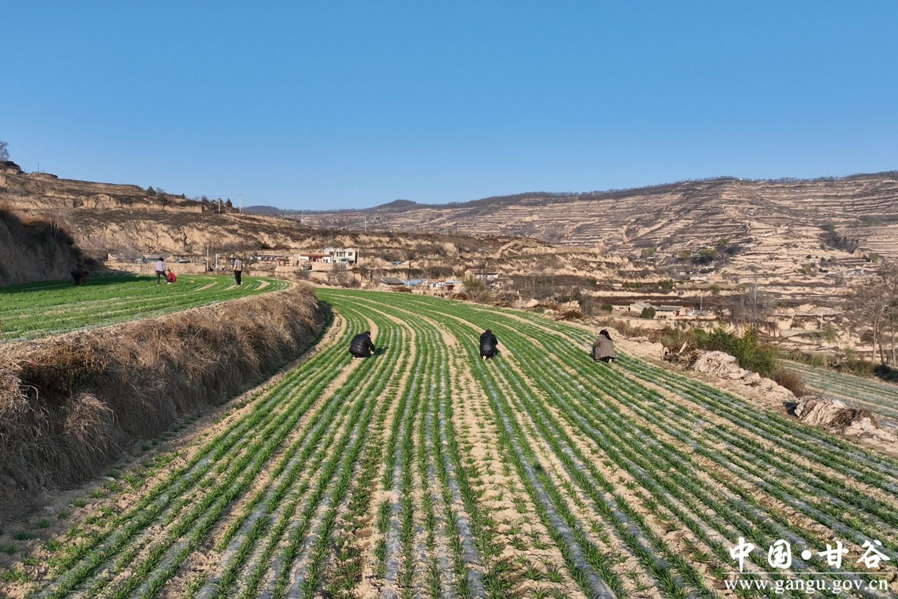 微信图片_20241122142420 微信图片_20241122142420