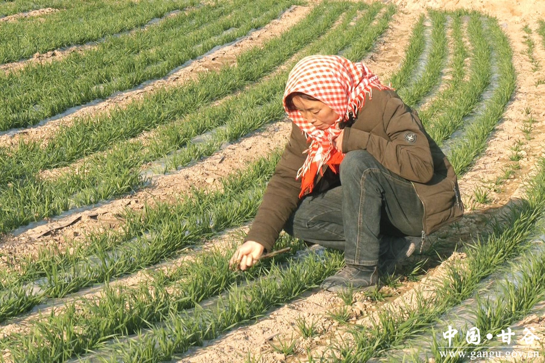 微信图片_20241122142422 微信图片_20241122142422