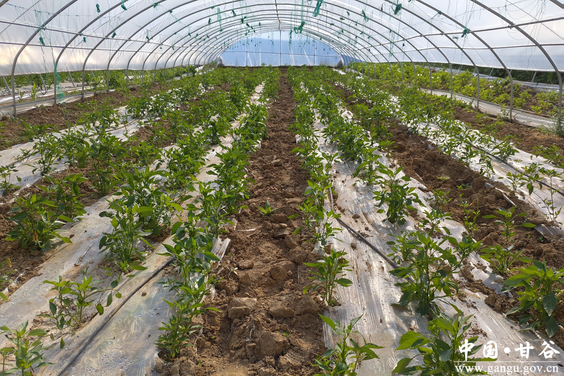 986679ce1c2d403c9c494acf0f9a7803 986679ce1c2d403c9c494acf0f9a7803