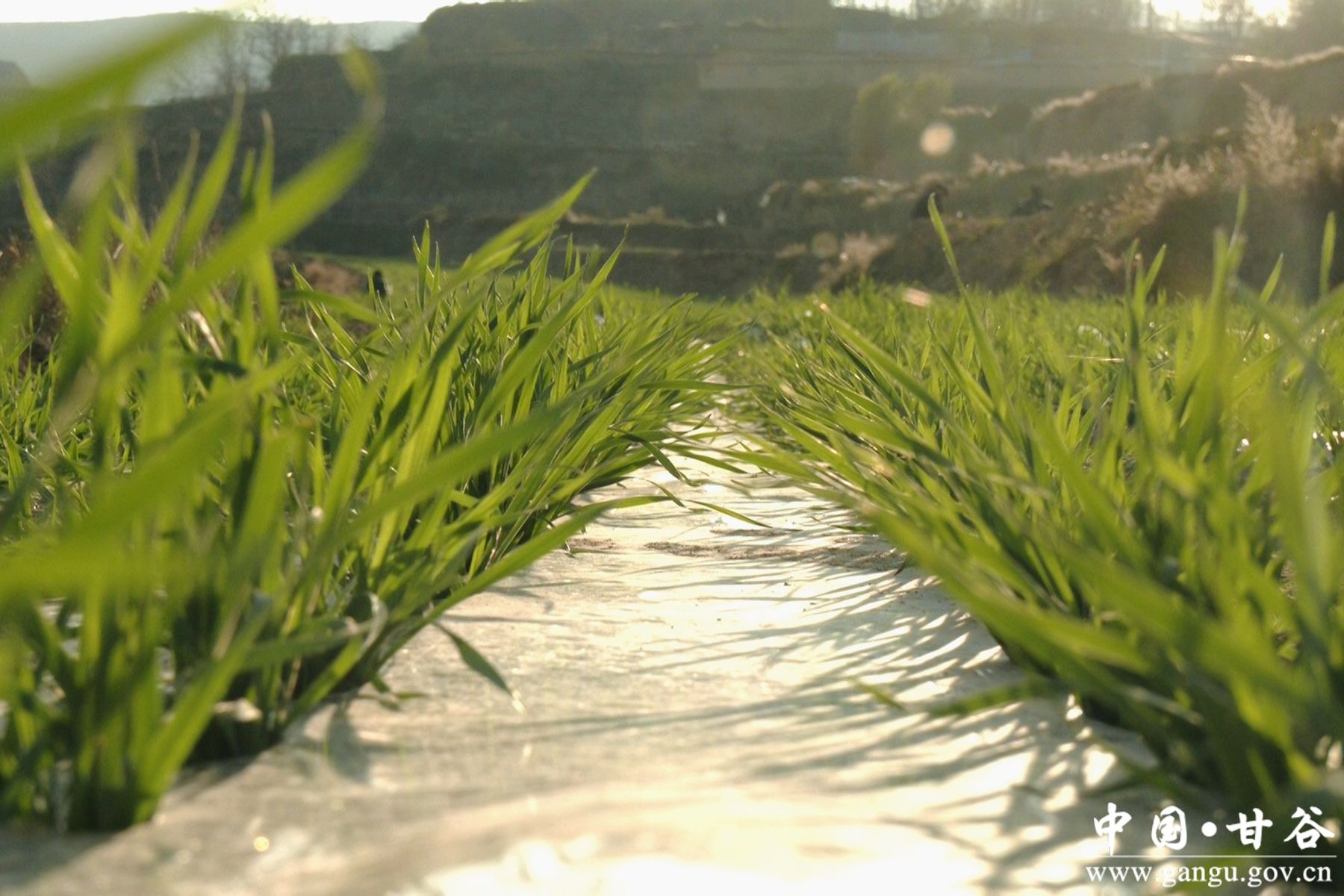 微信图片_20241122142427 微信图片_20241122142427