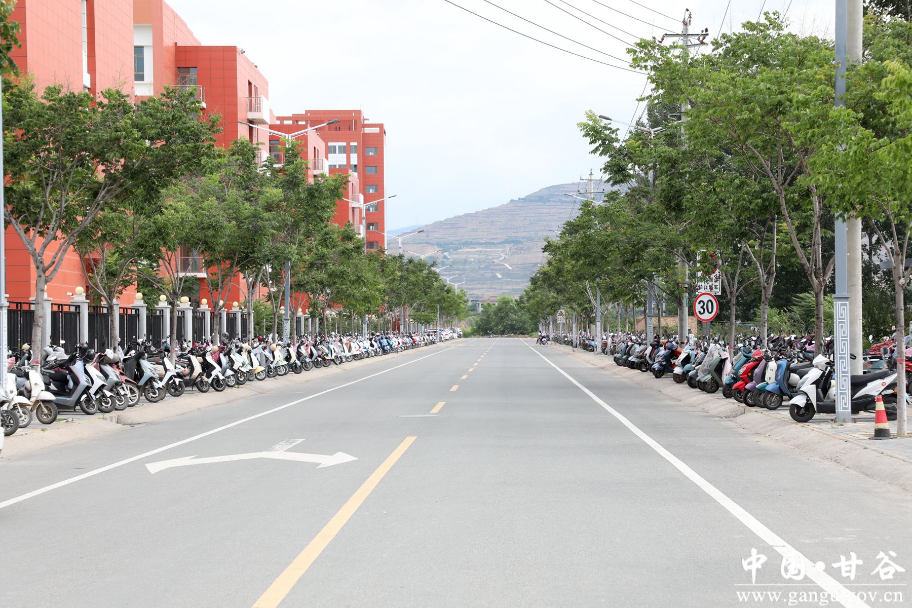 926A9530_副本 926A9530_副本