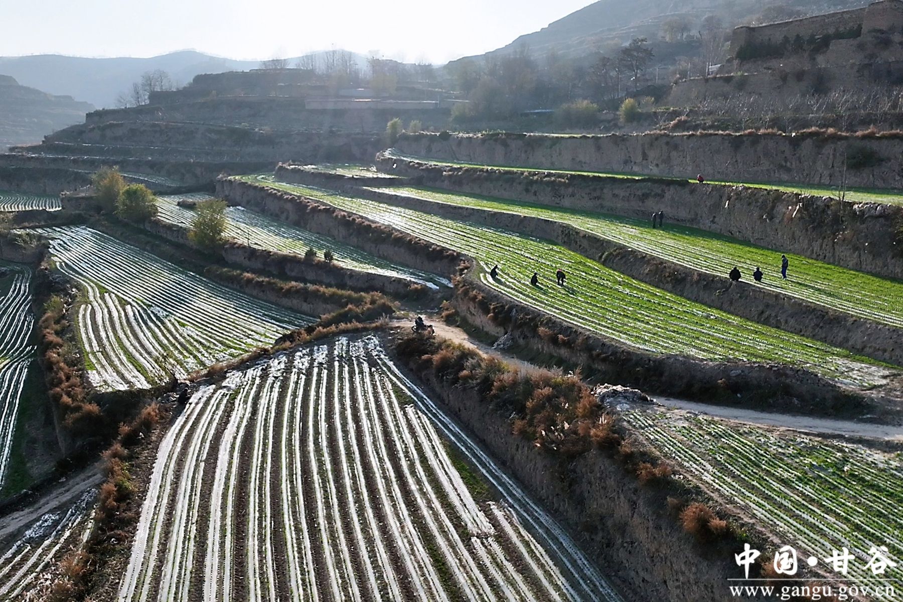 微信图片_20241122142424 微信图片_20241122142424