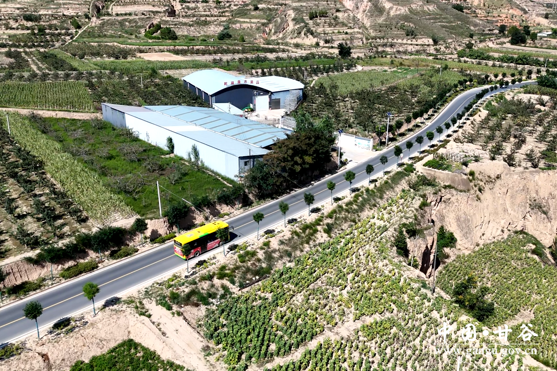 1111_副本 1111_副本