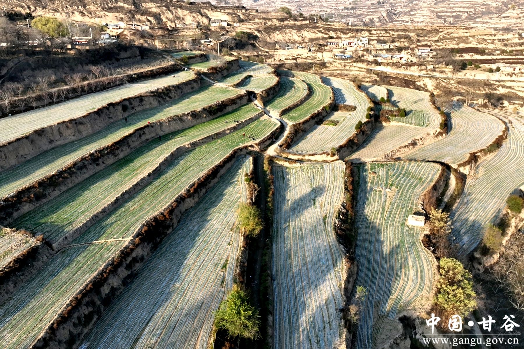 微信图片_20241122142417 微信图片_20241122142417