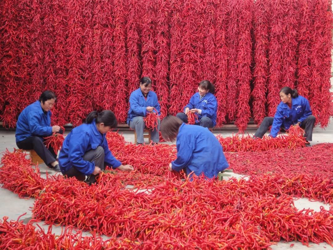 WechatIMG2689.jpeg?x-oss-process=style/w10