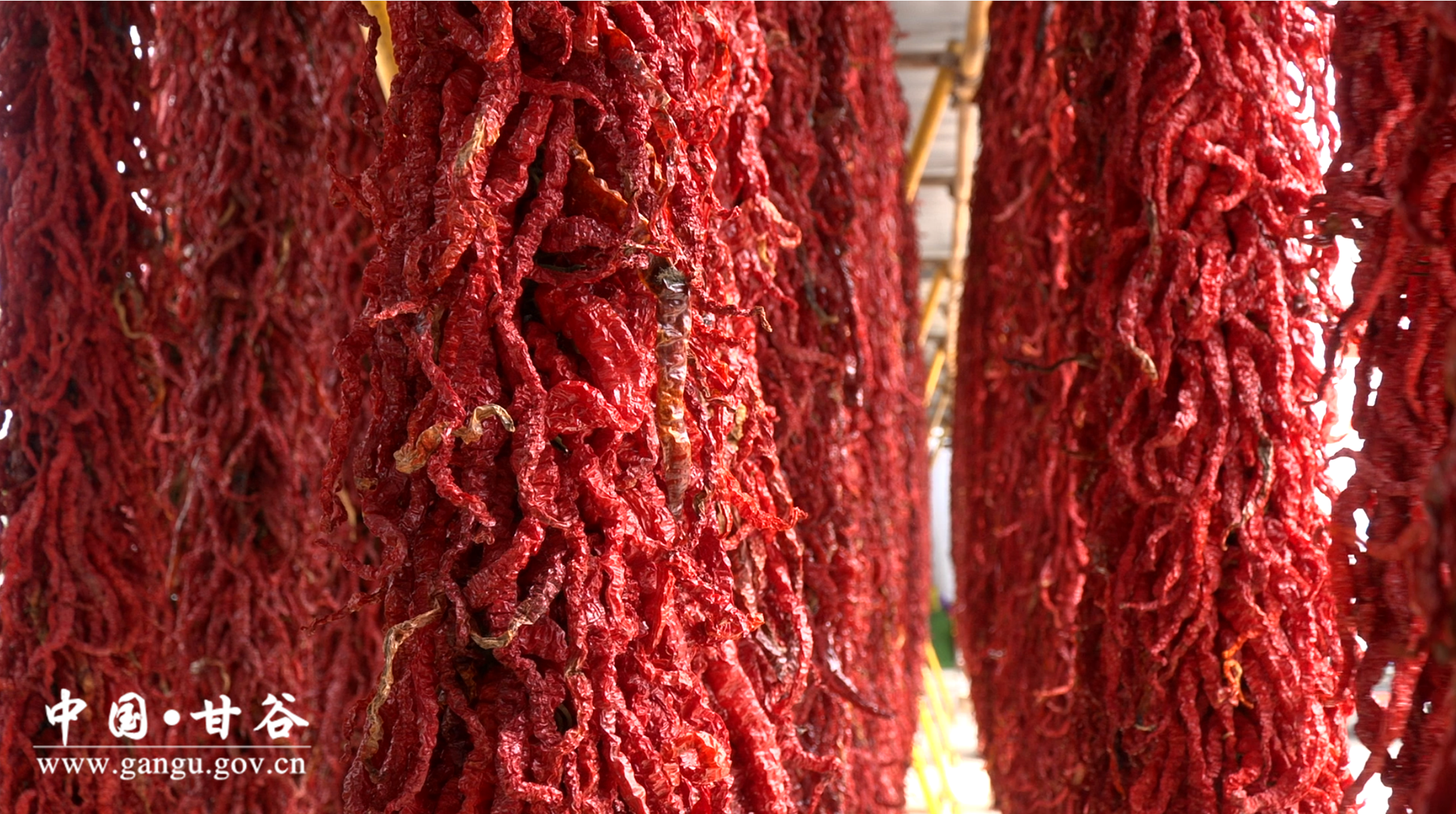 1bcab2691bdc8f8d185da0d20db23a7 1bcab2691bdc8f8d185da0d20db23a7