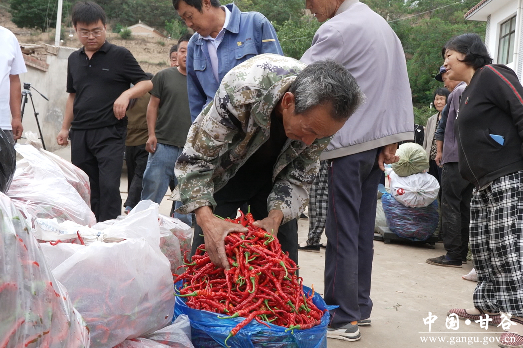 微信图片_20250826111742 微信图片_20250826111742