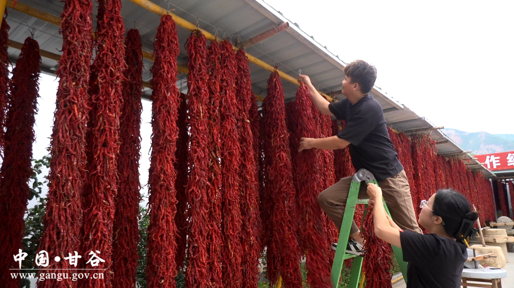 28a282a6bc8491d183937e1584e77e7 28a282a6bc8491d183937e1584e77e7