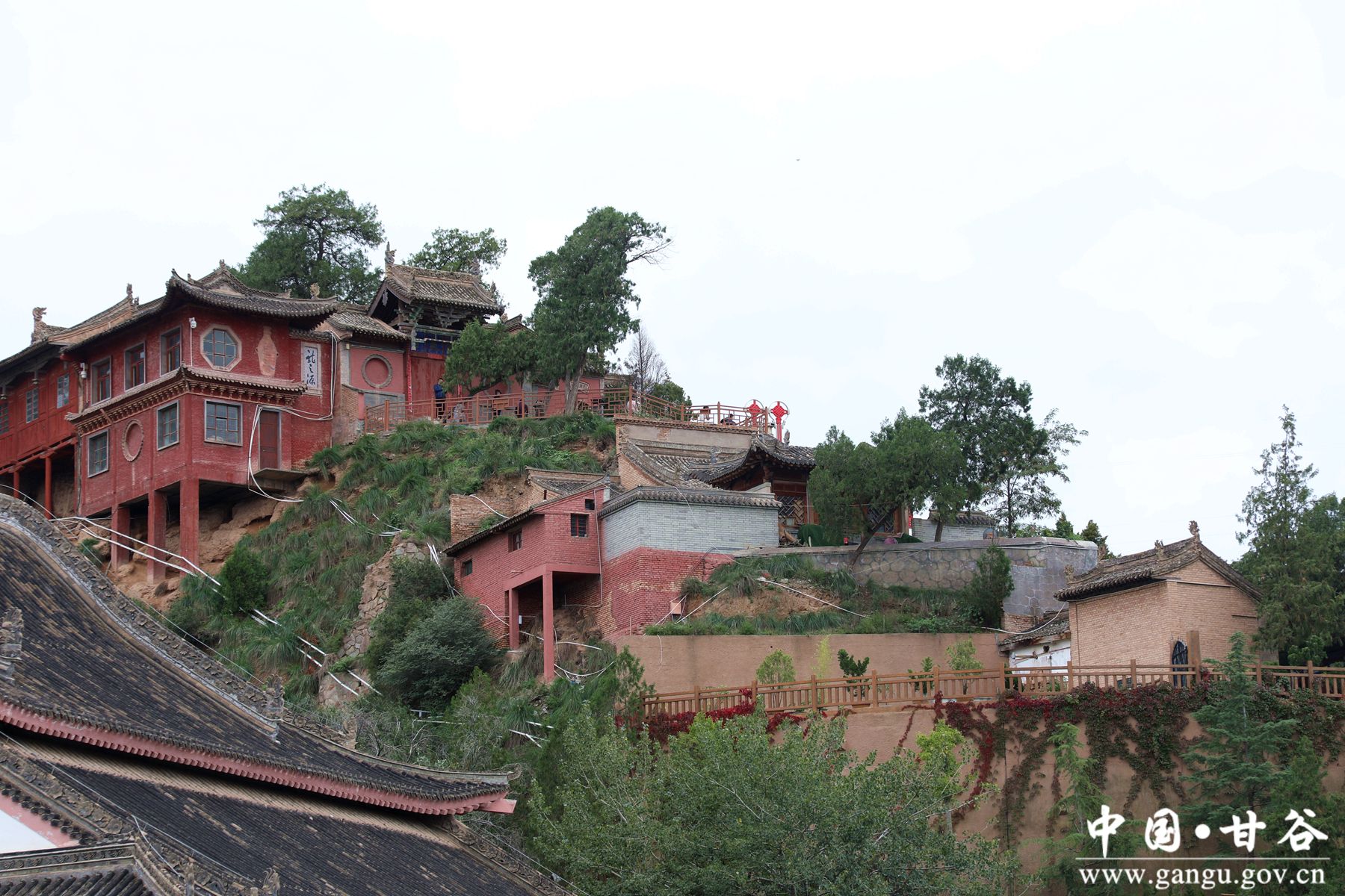 926A8489_副本 926A8489_副本