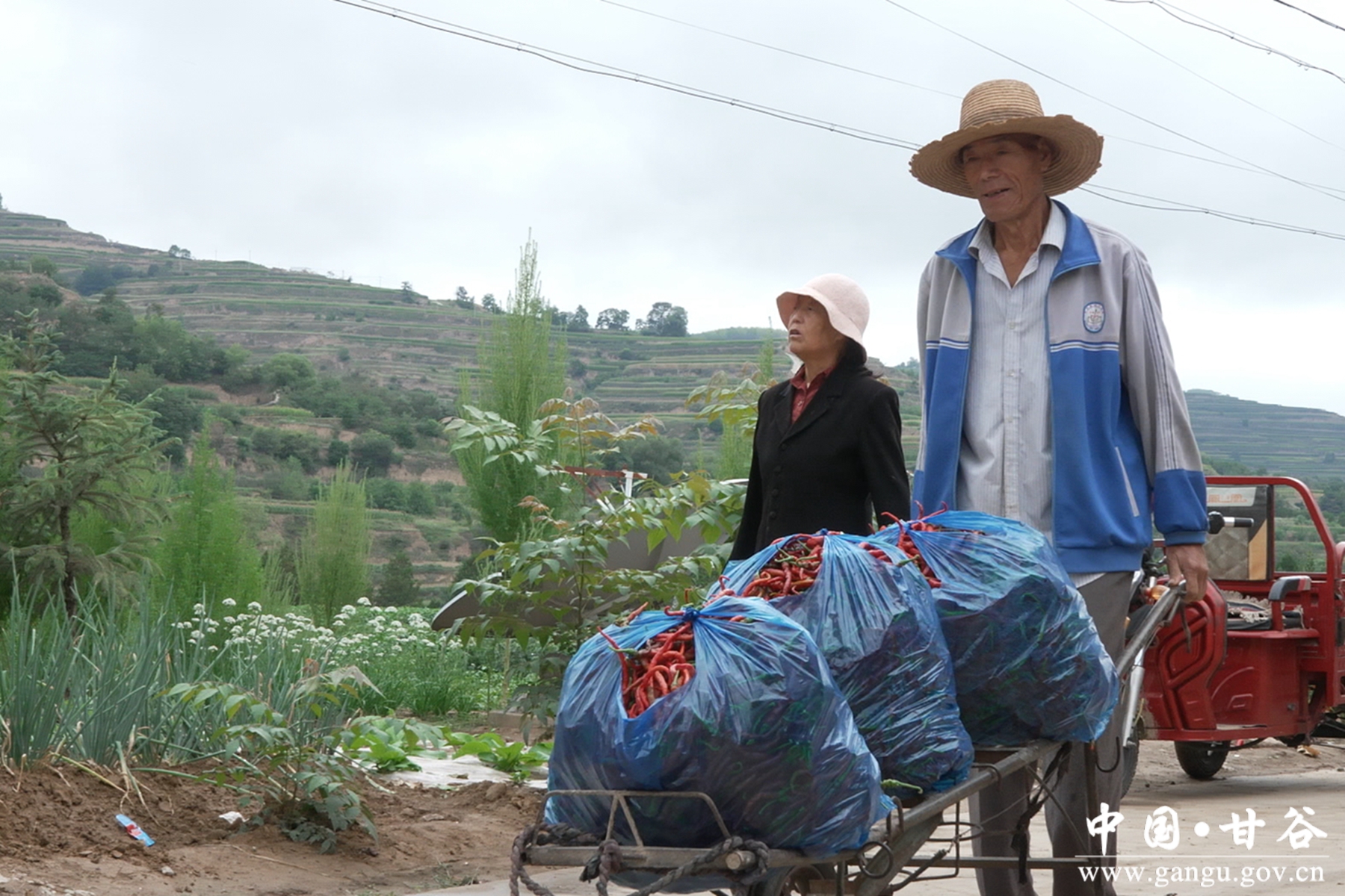 微信图片_20250826111519 微信图片_20250826111519