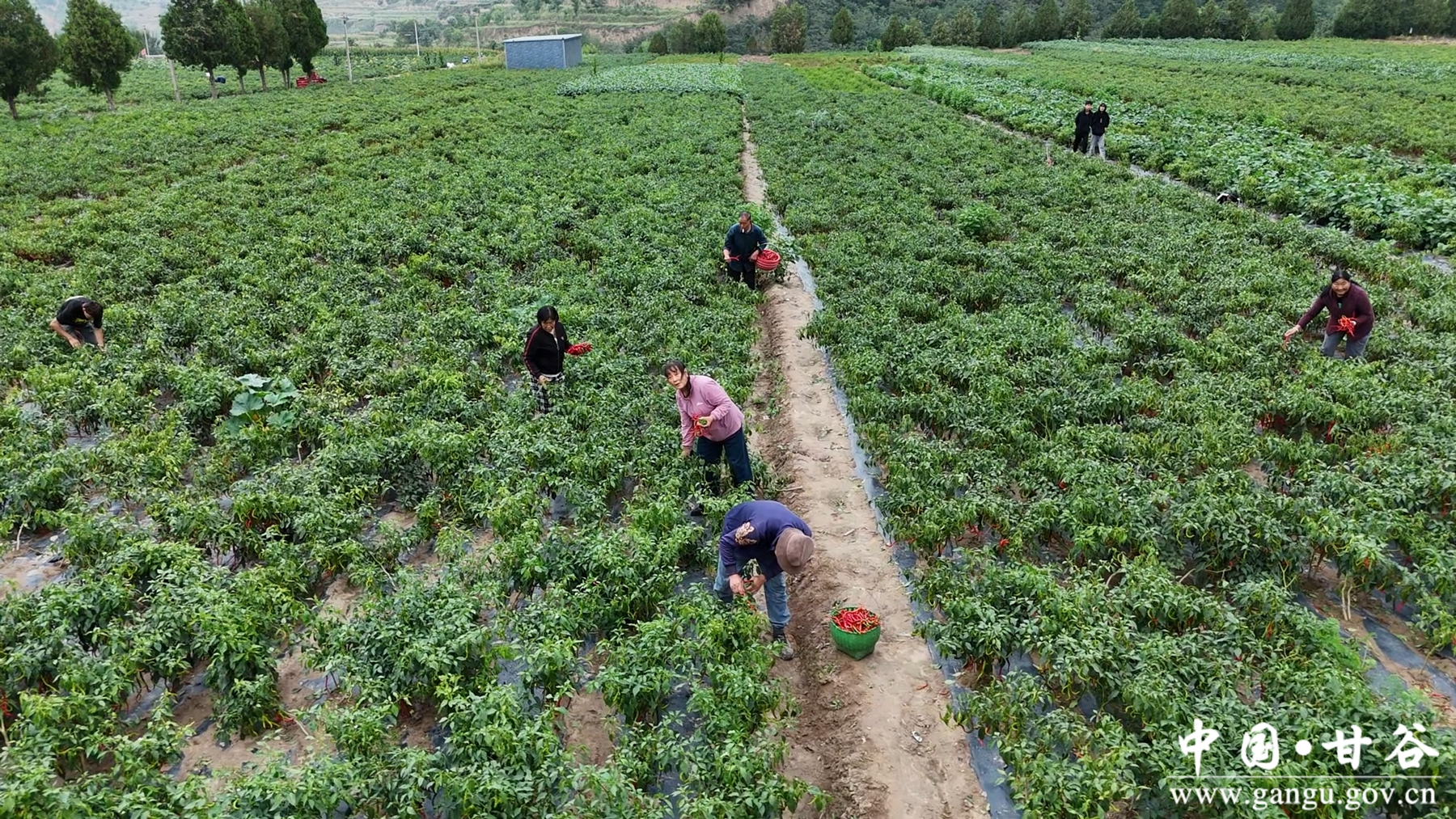 微信图片_20250826111812 微信图片_20250826111812