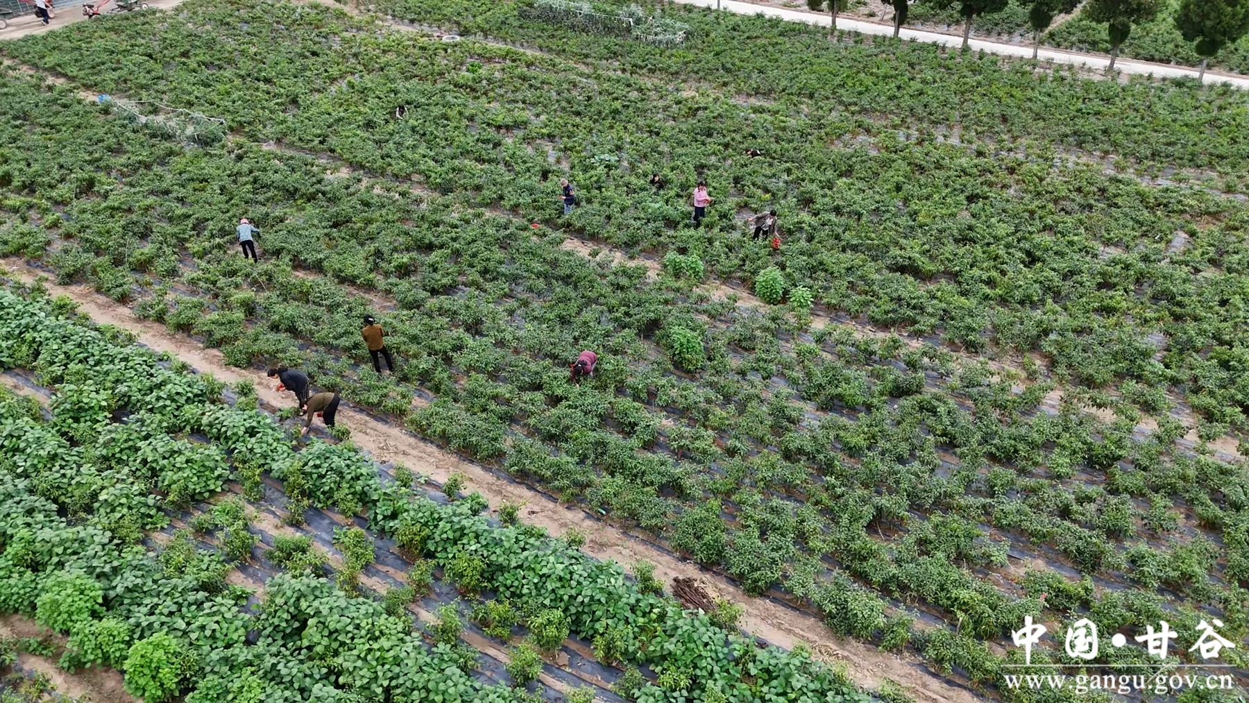 微信图片_20250826111727 微信图片_20250826111727