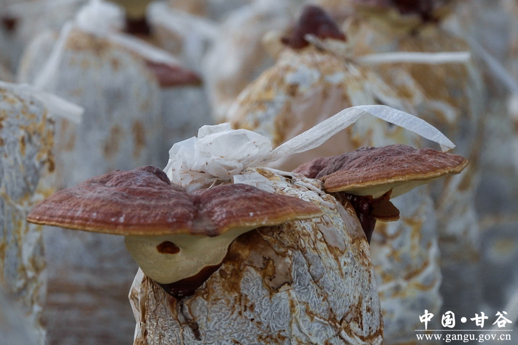 微信图片_20250910113728_5_148 微信图片_20250910113728_5_148