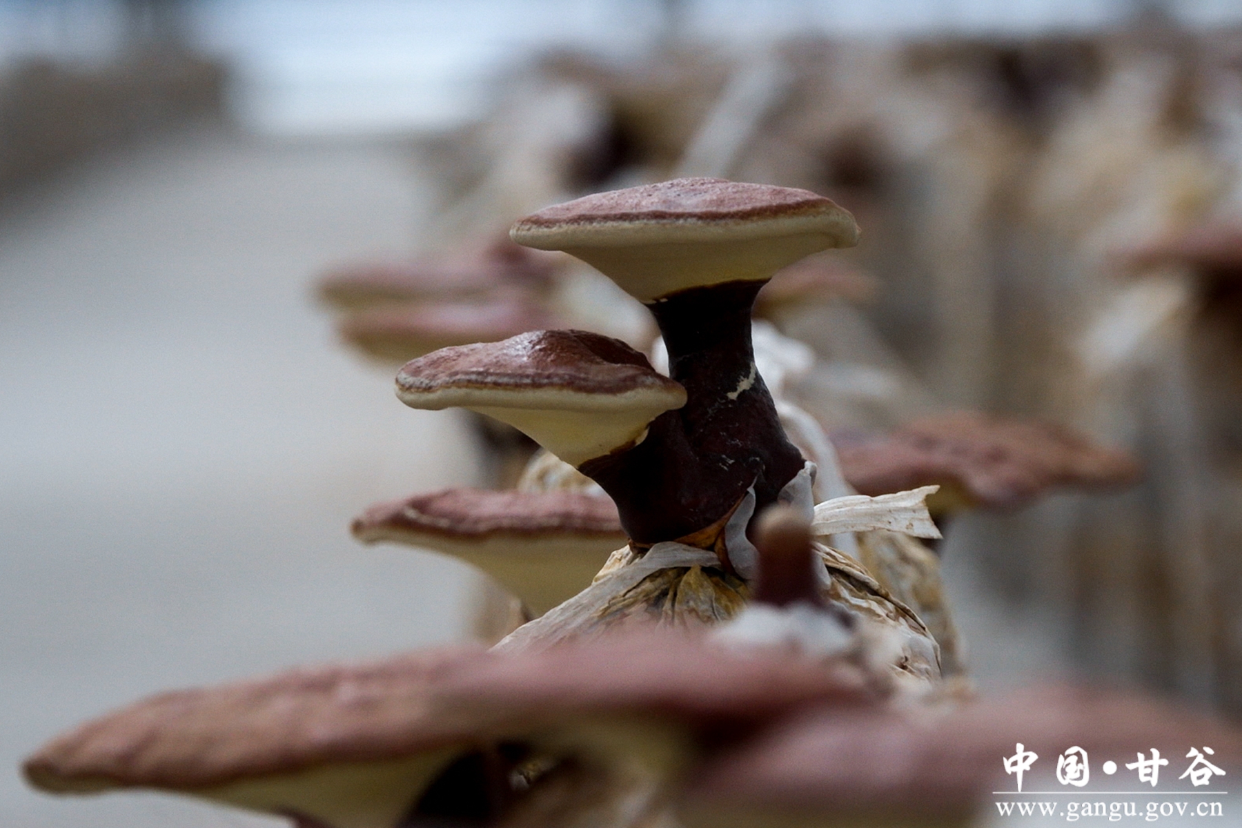 微信图片_20250910113724_2_148 微信图片_20250910113724_2_148