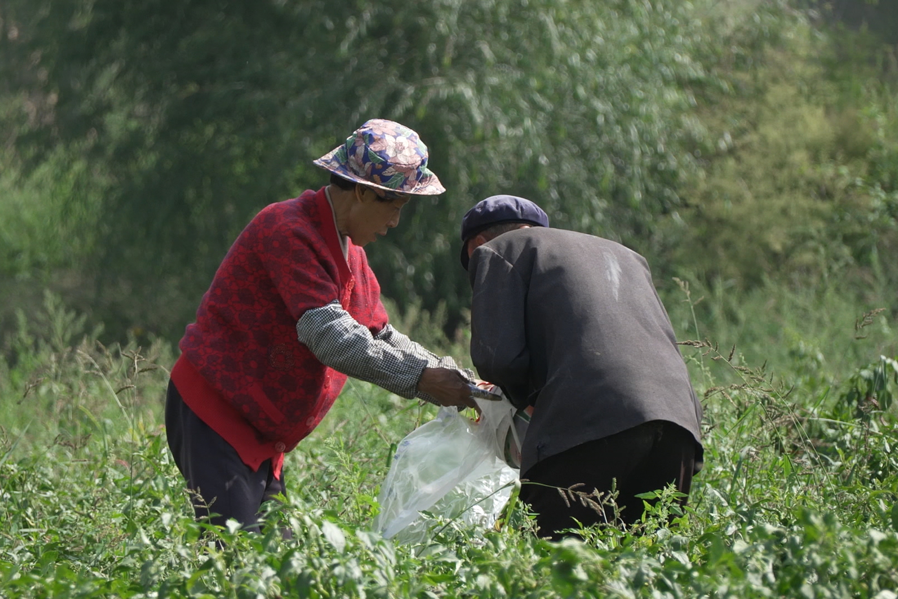 微信图片_20250911165857_7_289 微信图片_20250911165857_7_289