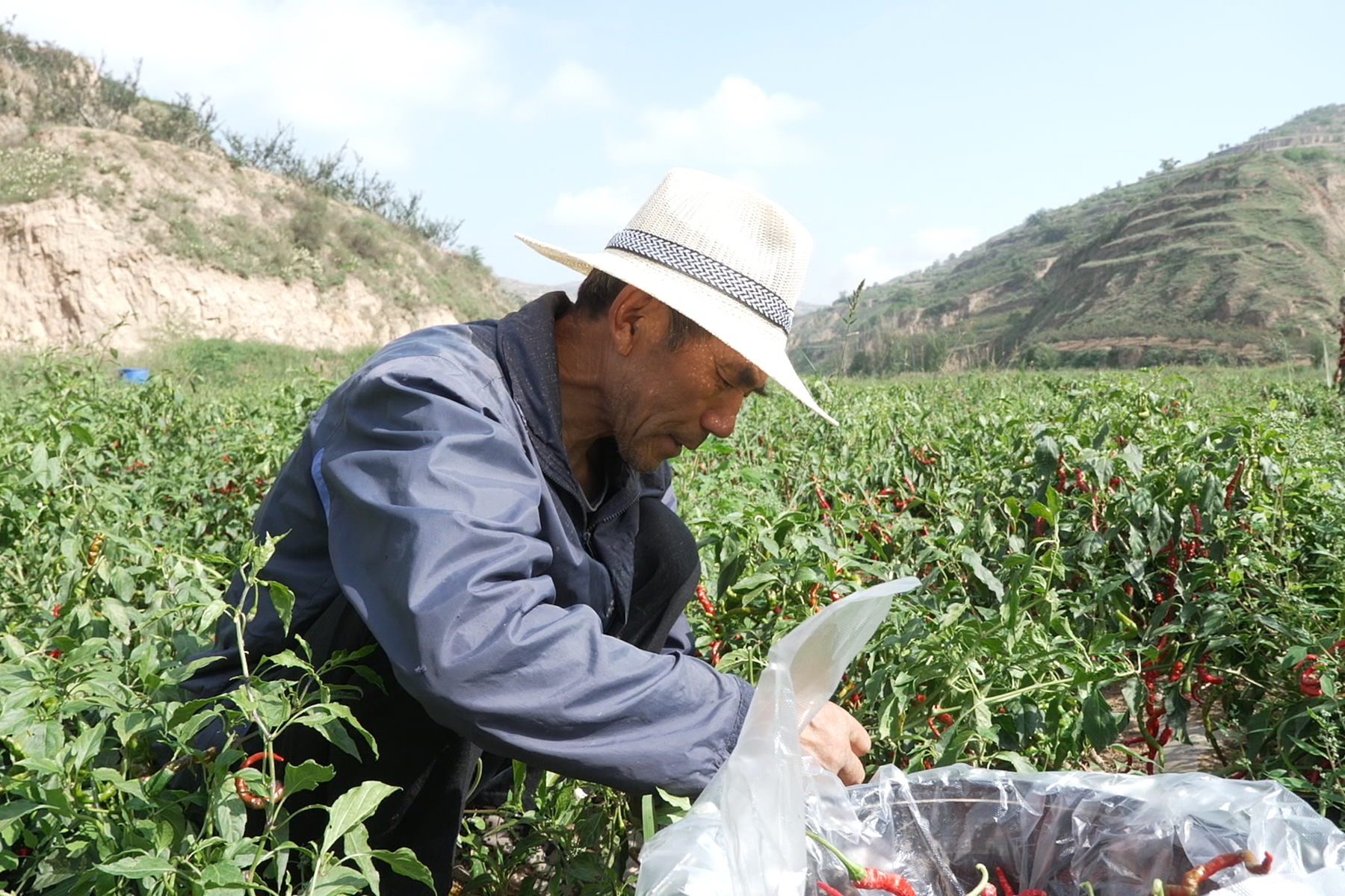 微信图片_20250911165852_6_289 微信图片_20250911165852_6_289