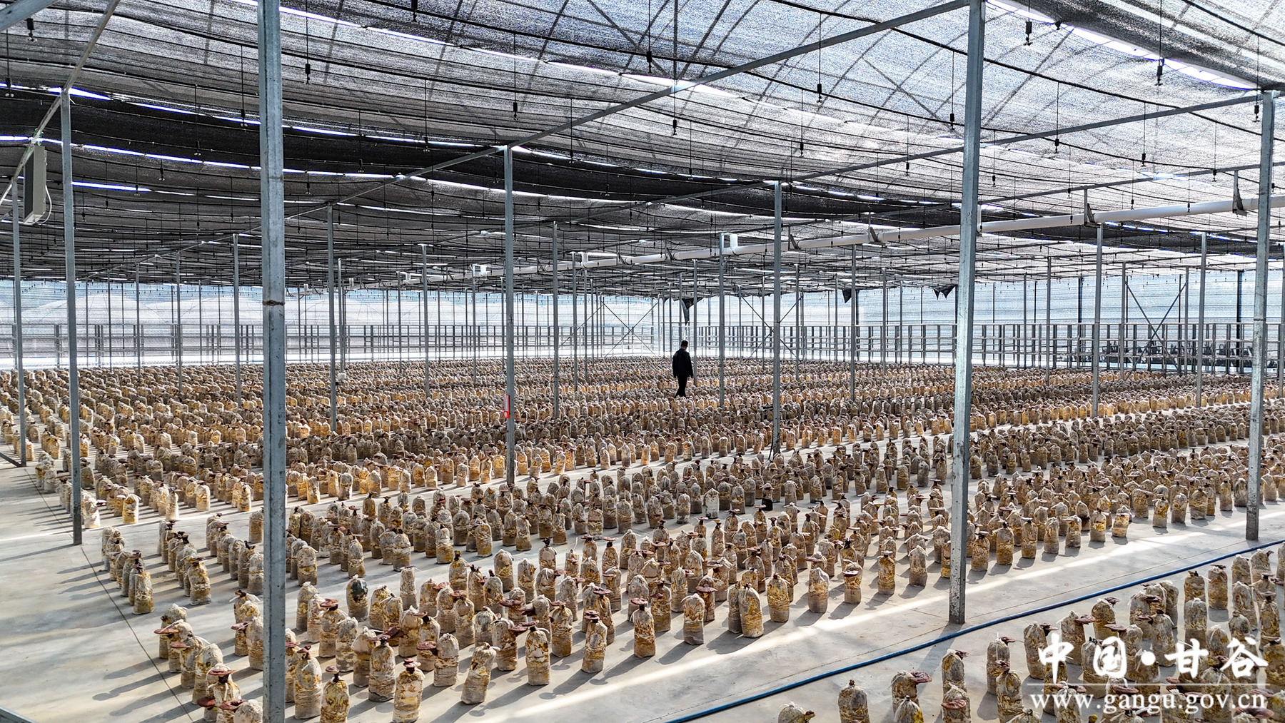 微信图片_20250910113730_6_148 微信图片_20250910113730_6_148