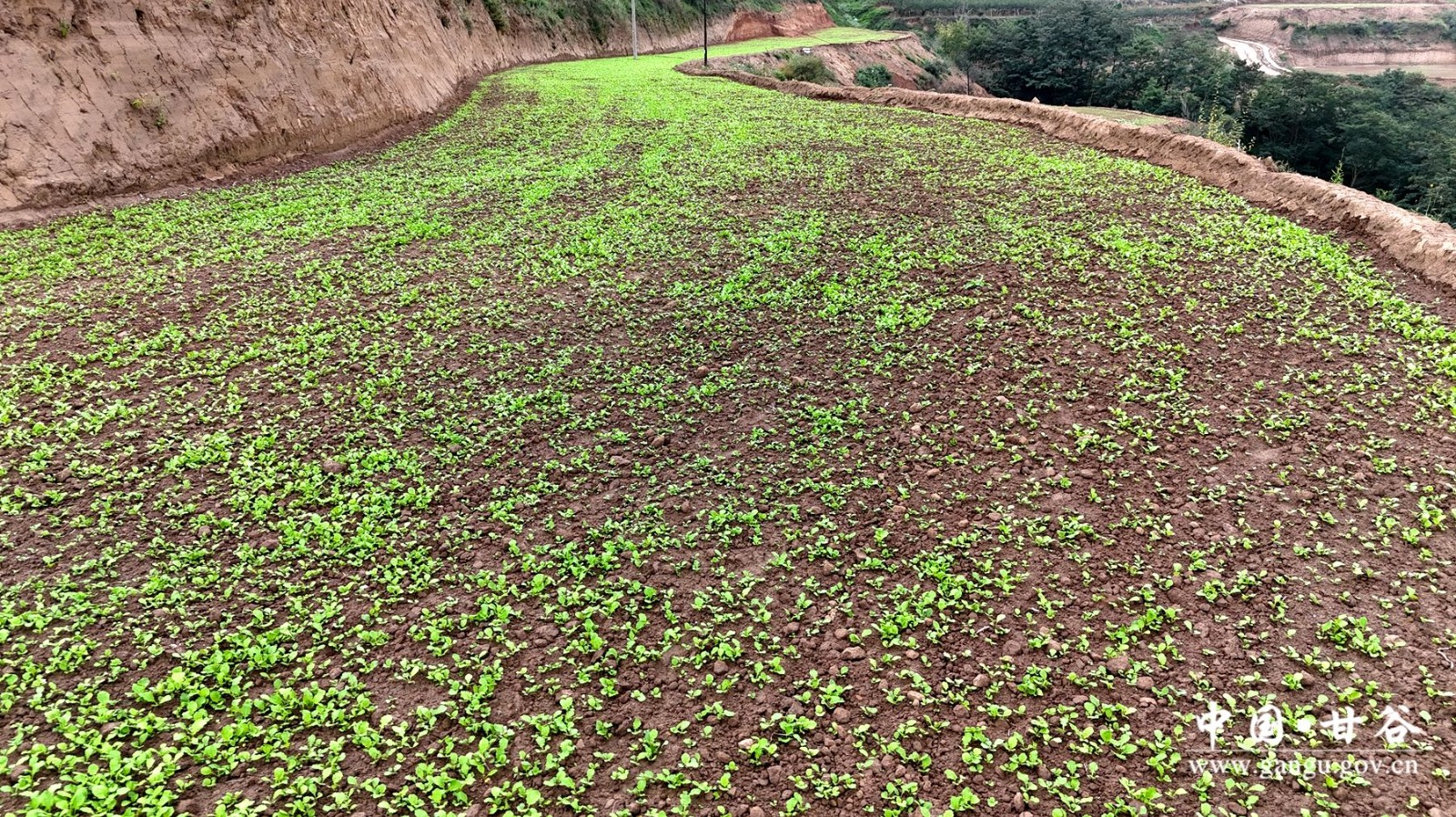 37729d69b7430d4092f3be7d409589c 37729d69b7430d4092f3be7d409589c