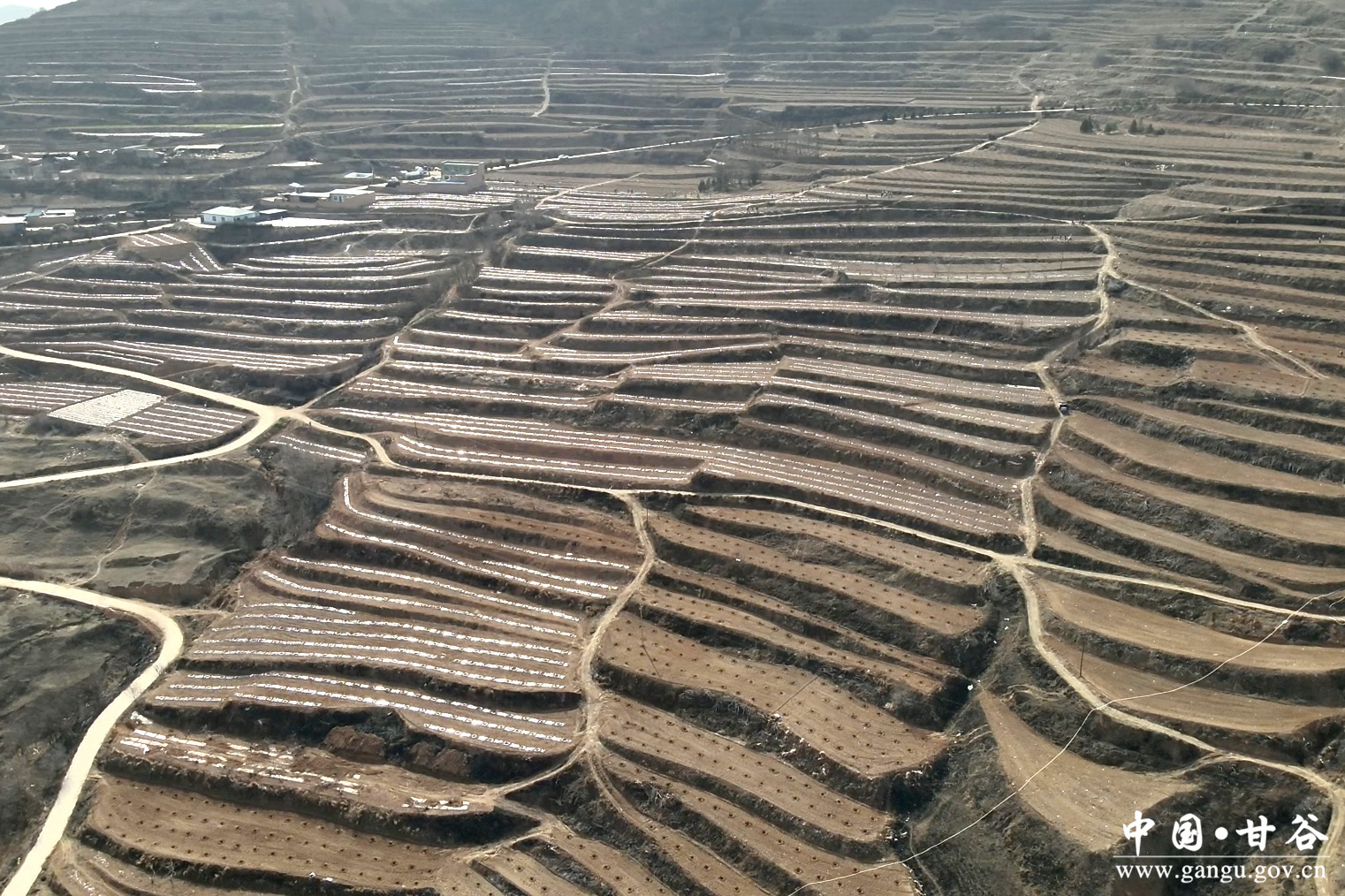 1743667187898011835.jpg 1743667187898011835.jpg